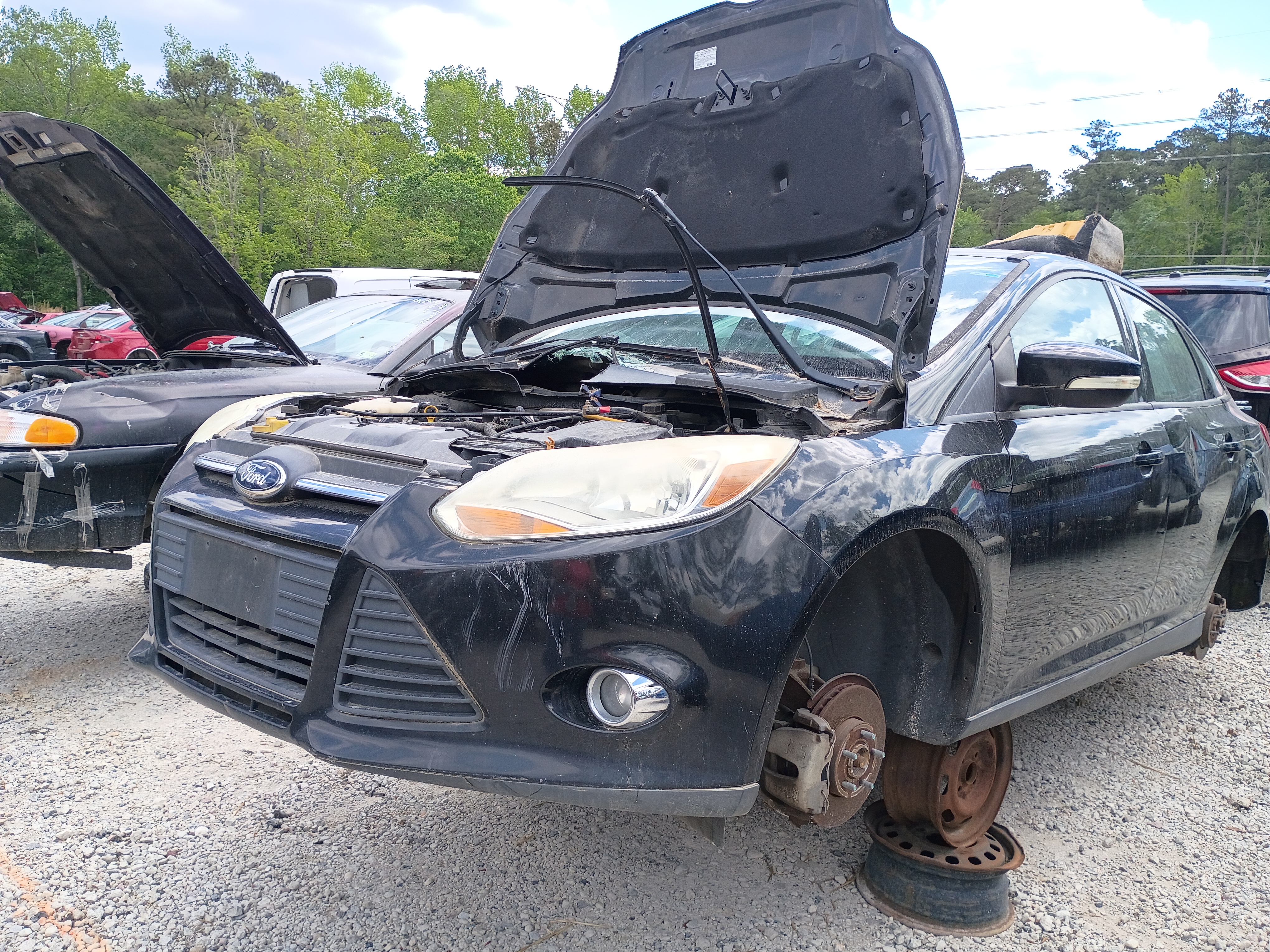 2014 FORD Focus