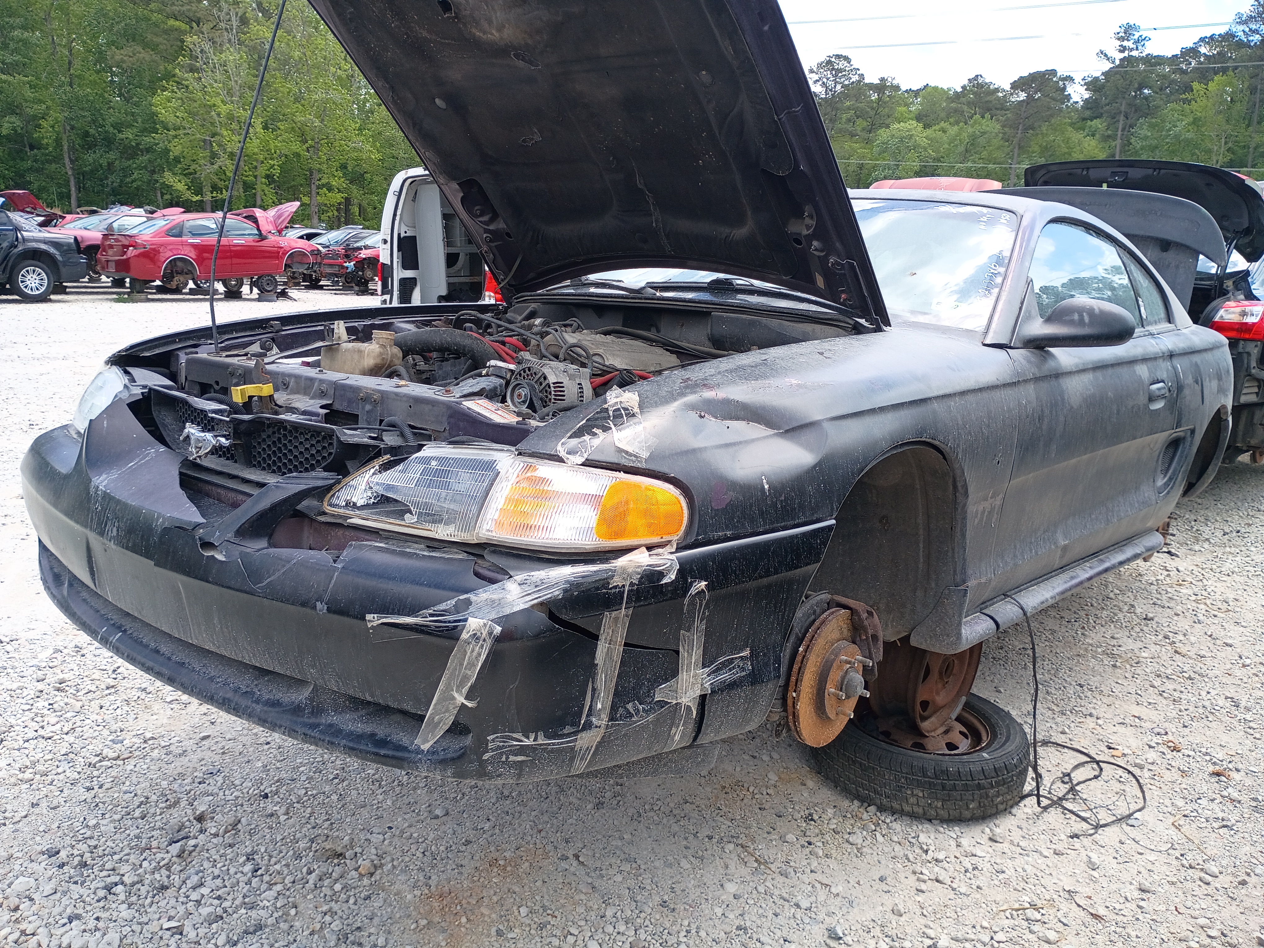 1997 FORD Mustang