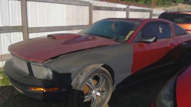 2005 FORD Mustang