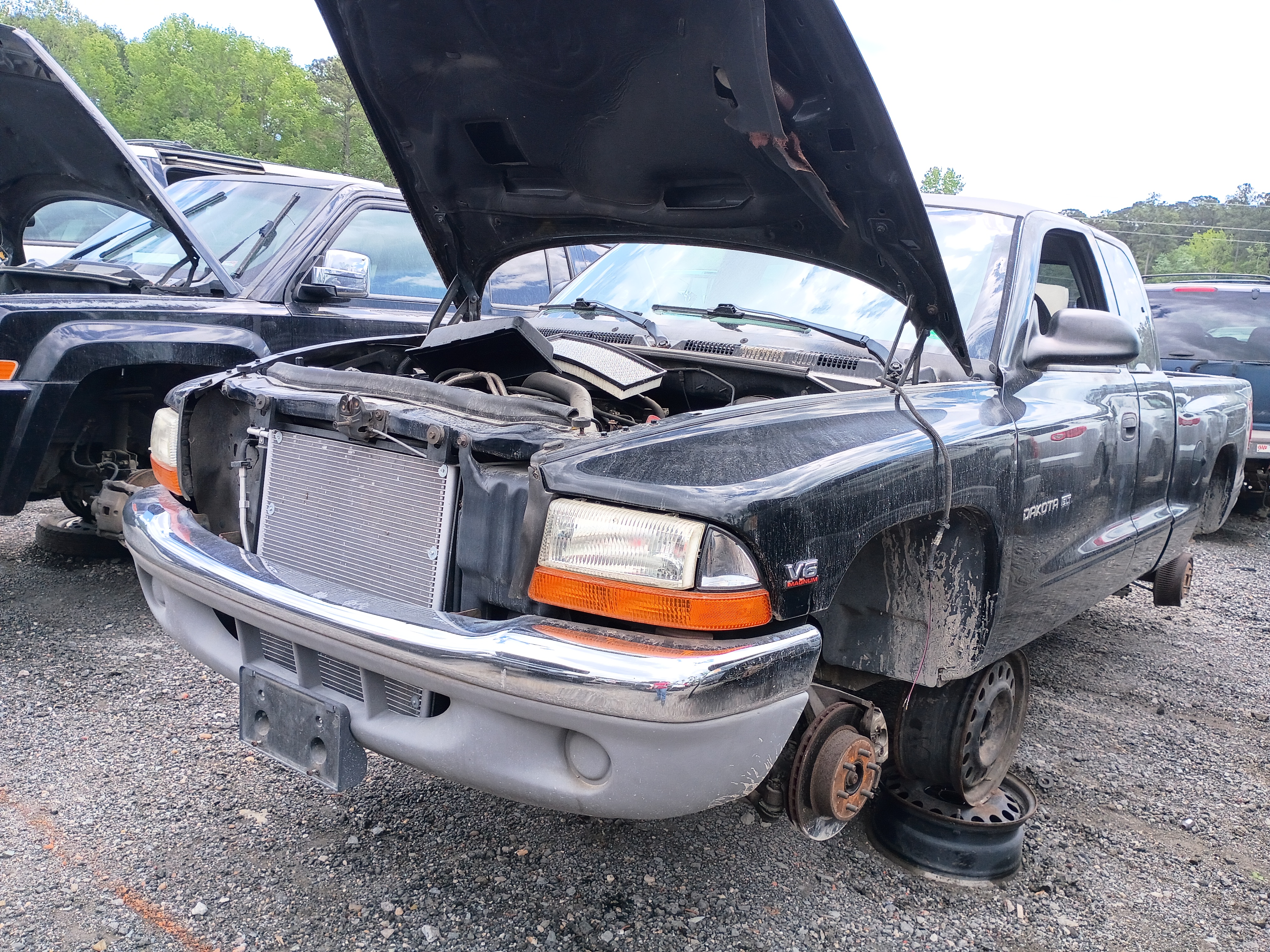 1997 DODGE Dakota