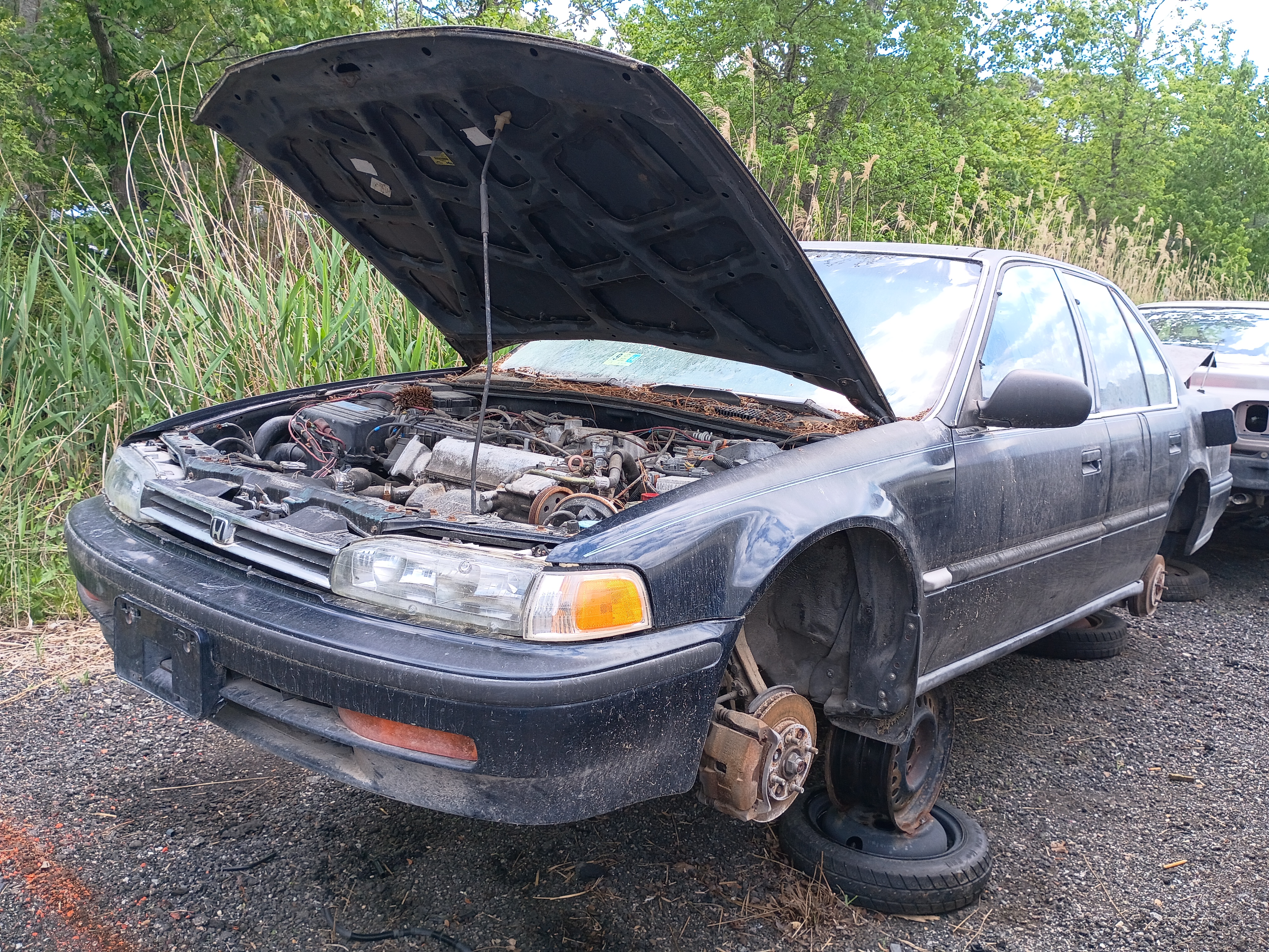 1992 HONDA Accord
