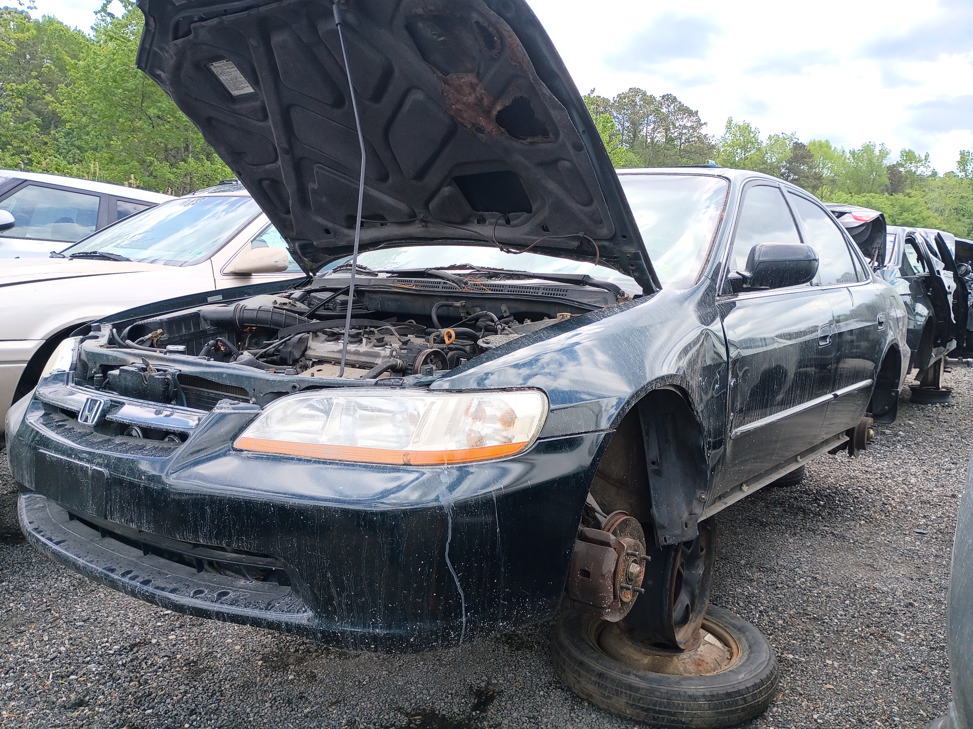 1999 HONDA Accord