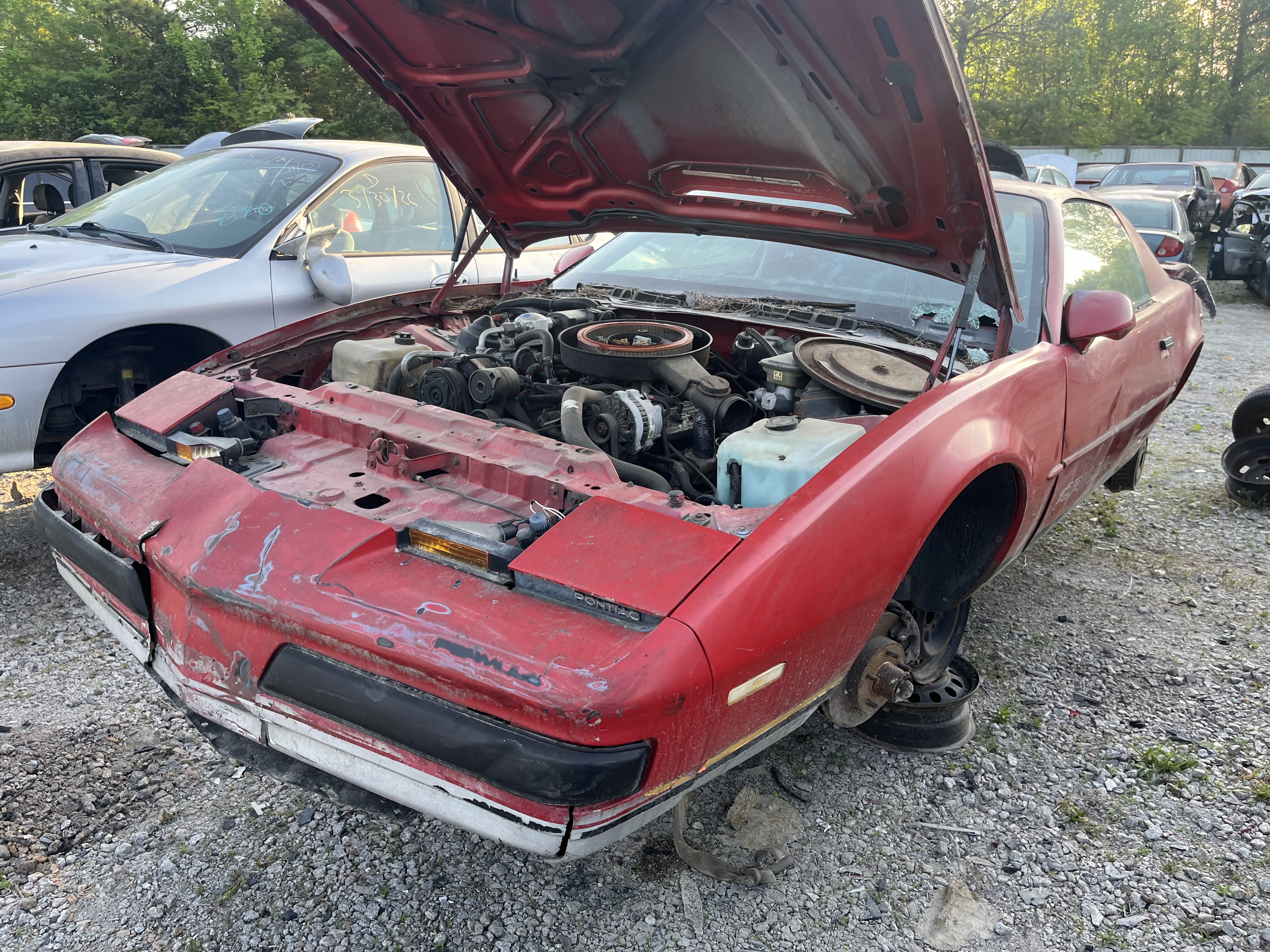 1988 PONTIAC Firebird