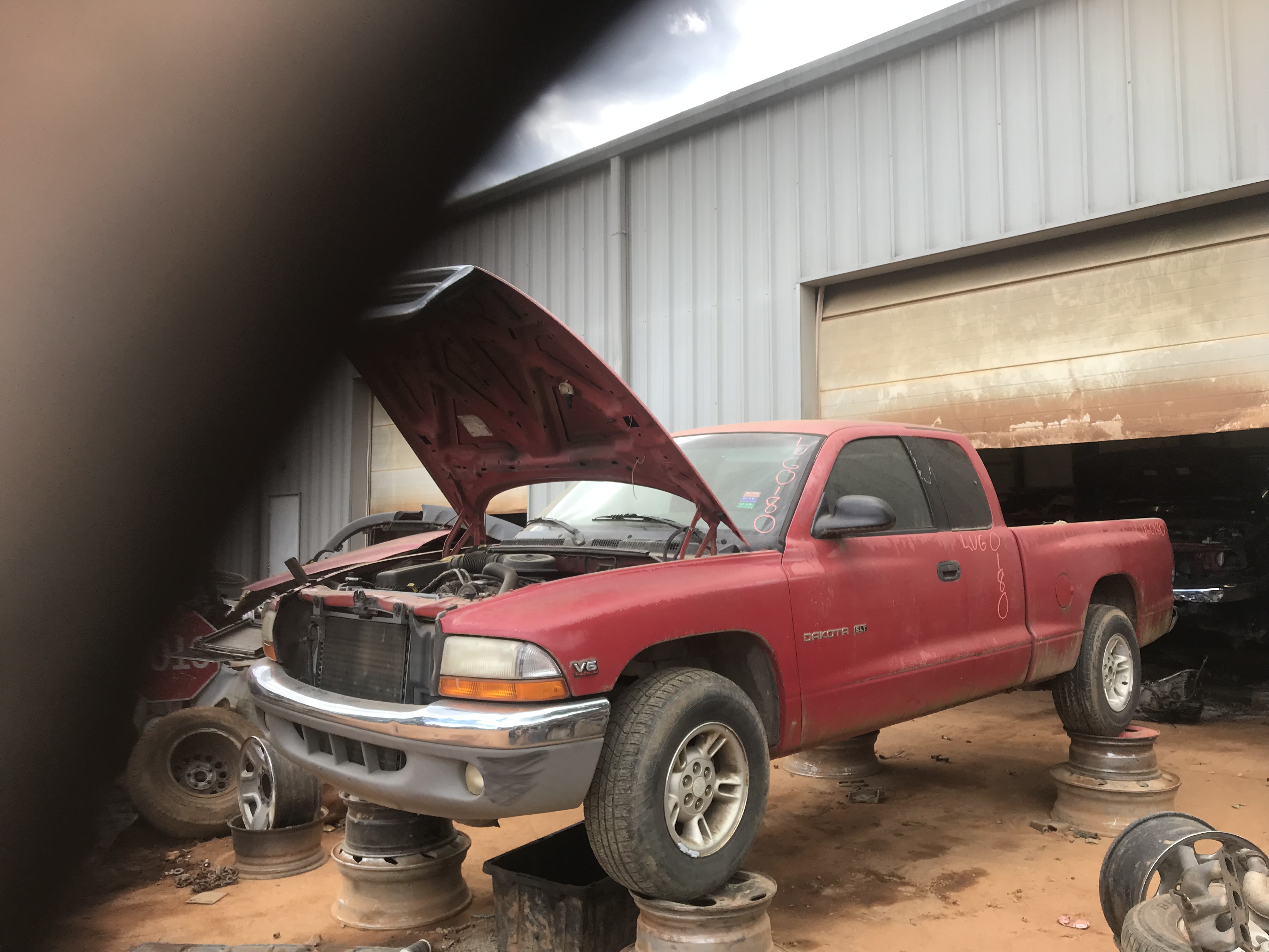 1998 DODGE Dakota
