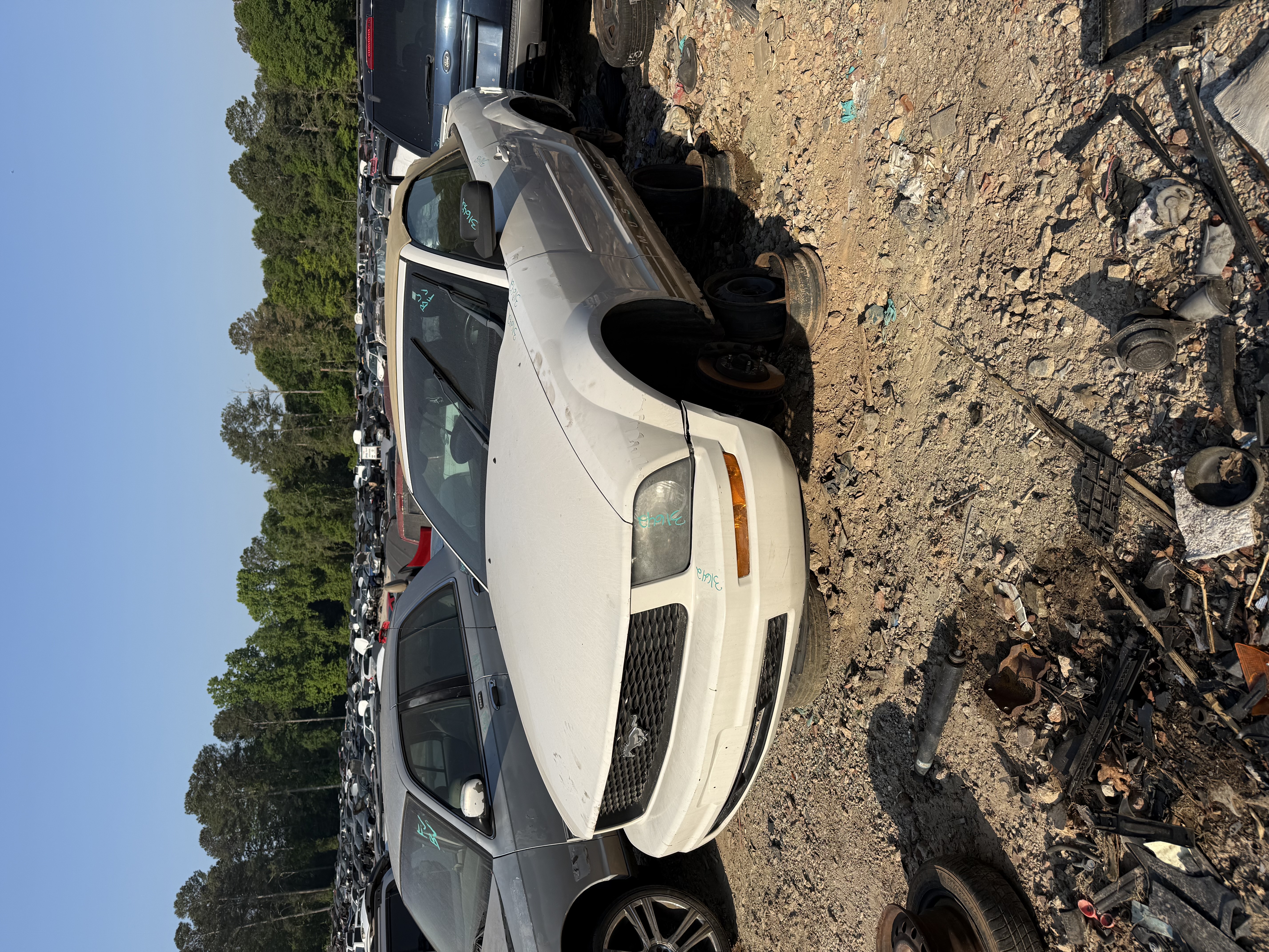 2007 FORD Mustang