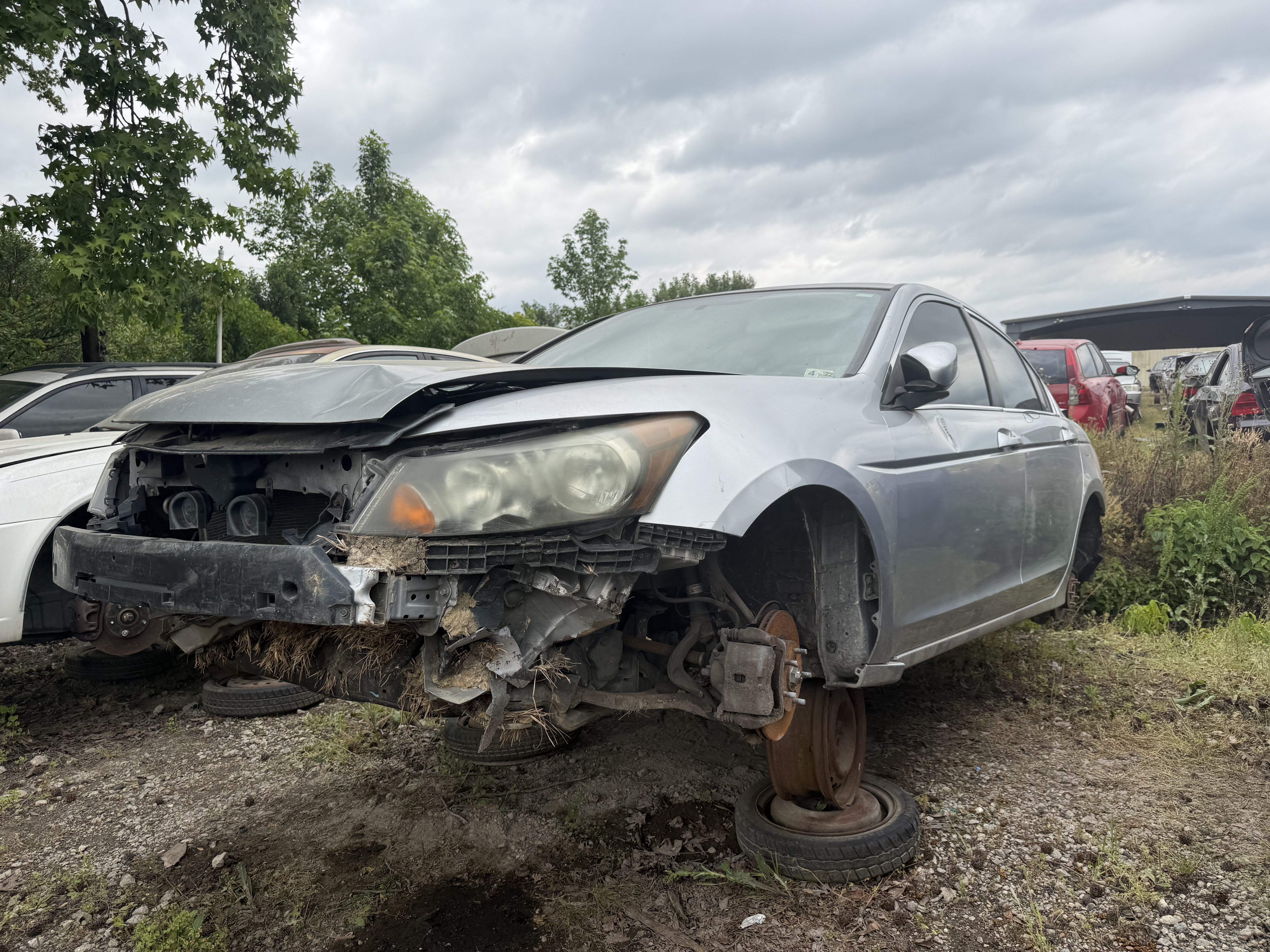 2009 HONDA Accord