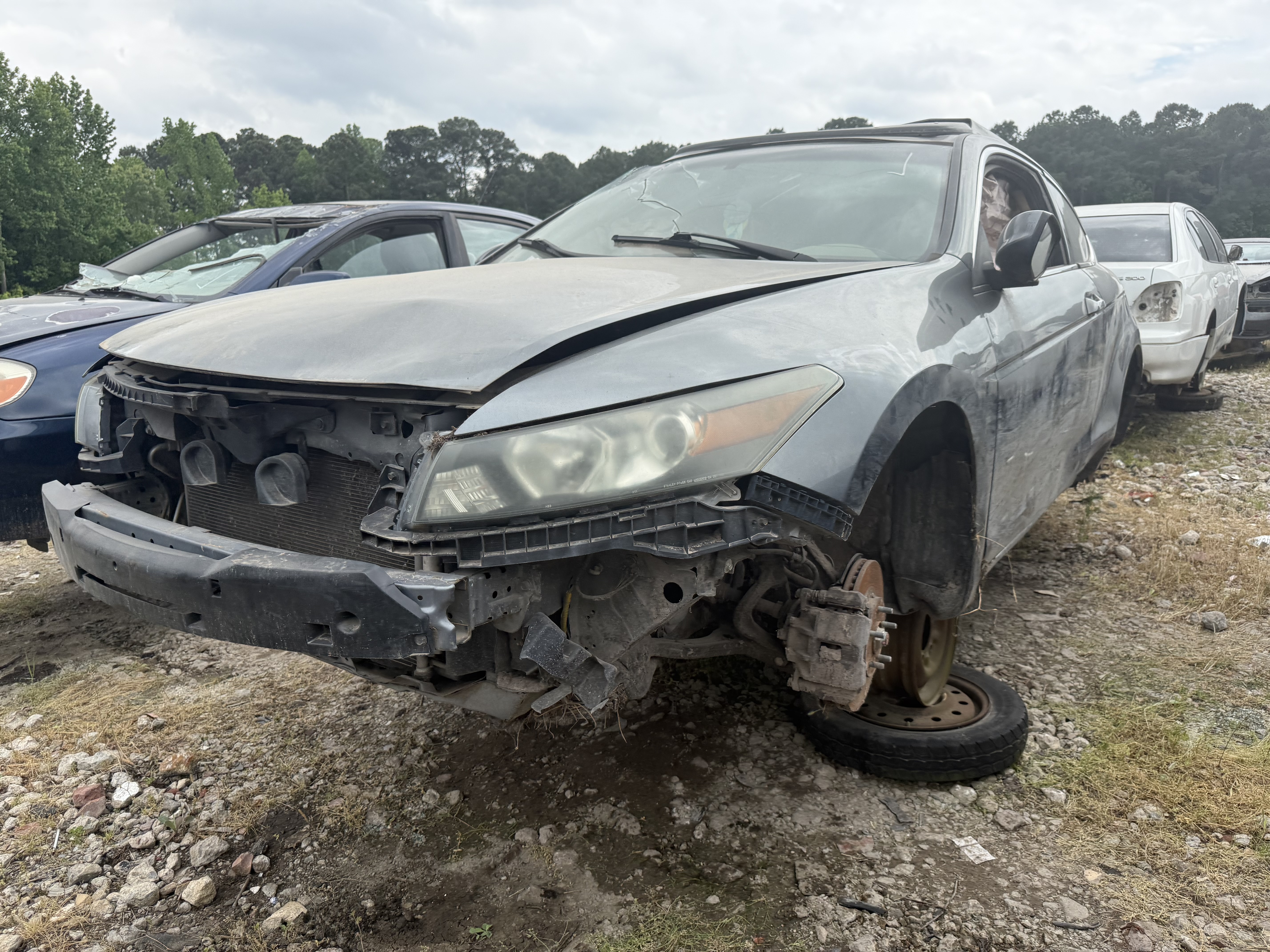 2010 HONDA Accord