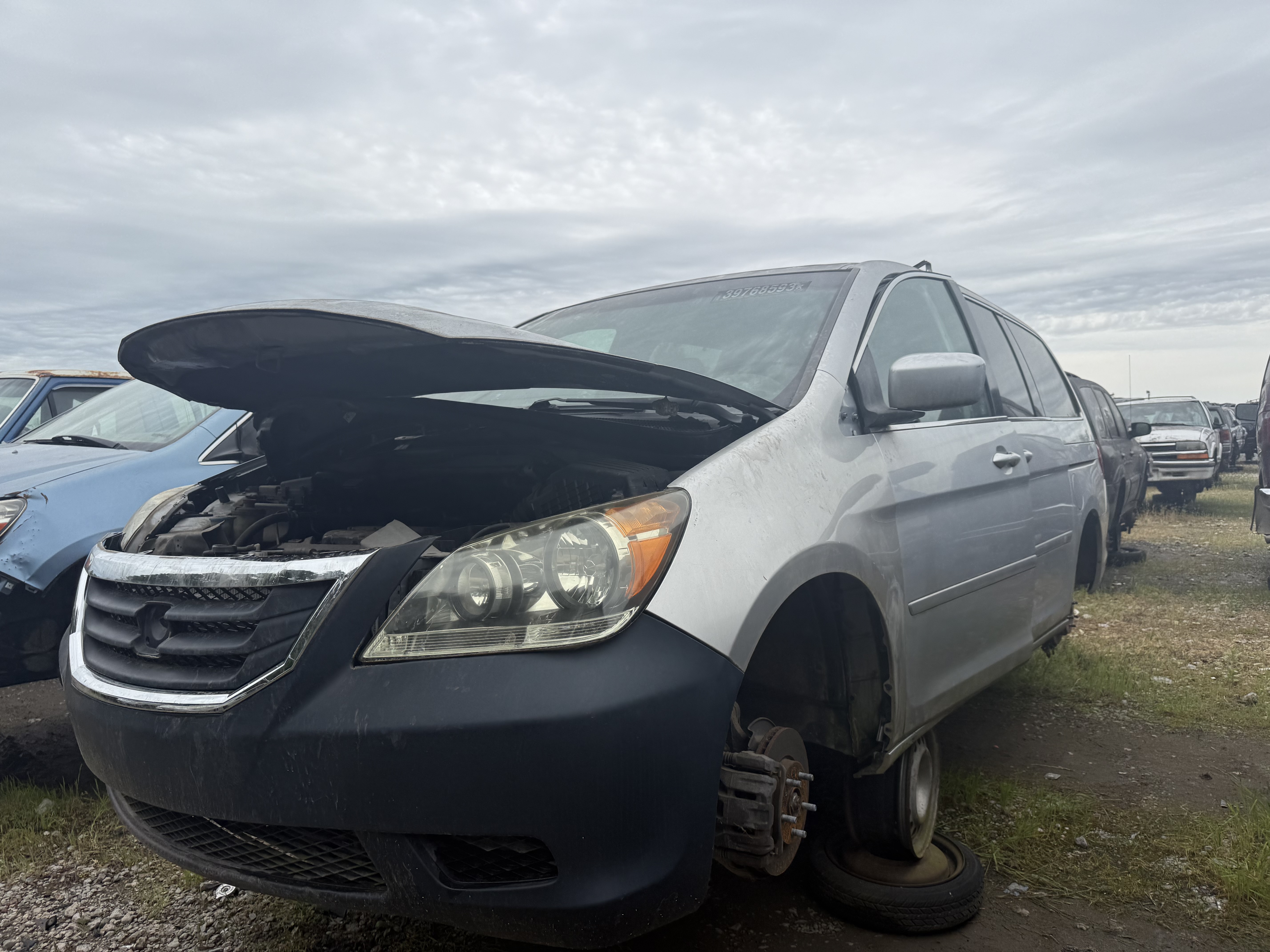 2010 HONDA Odyssey