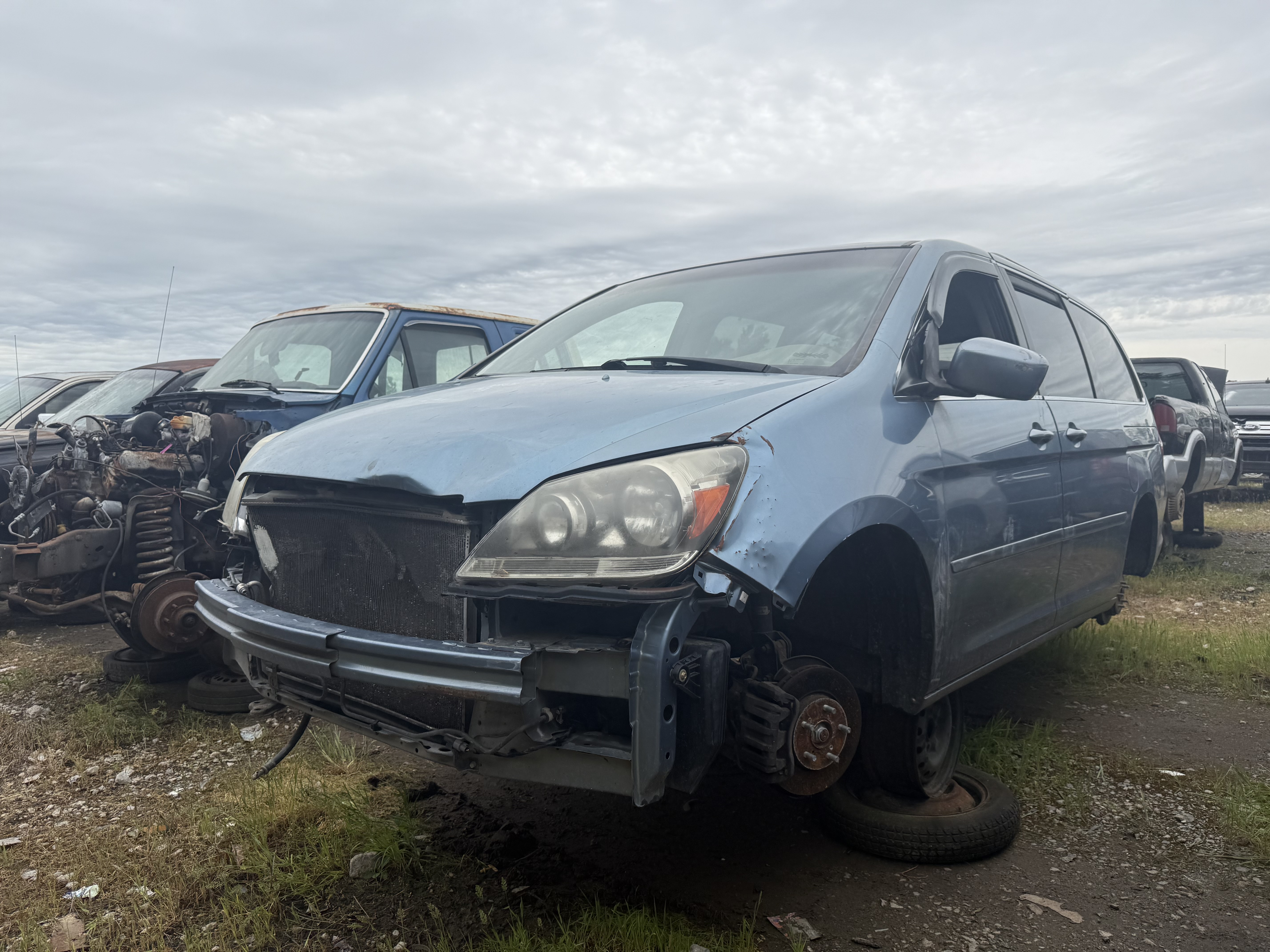 2005 HONDA Odyssey