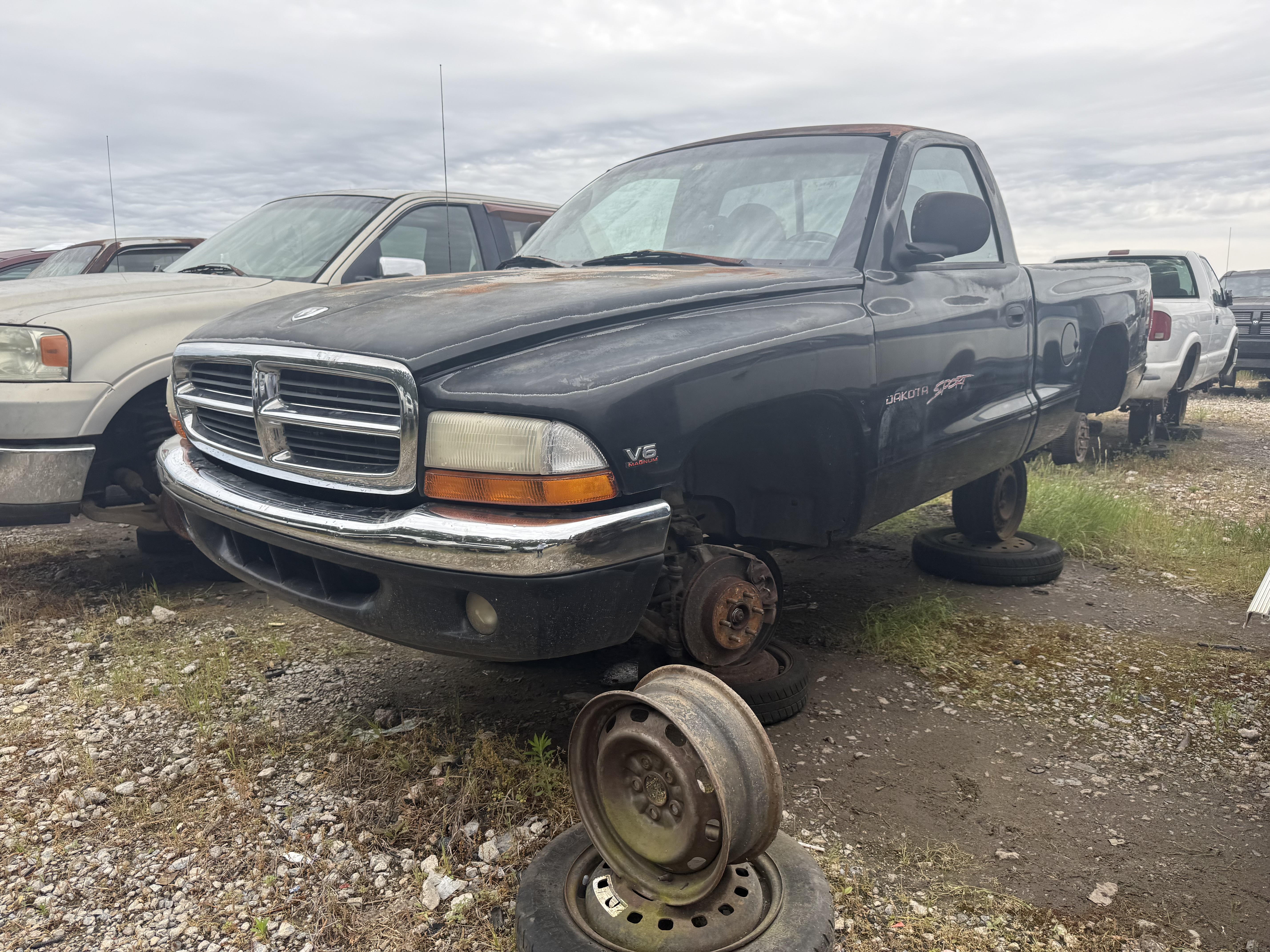 1997 DODGE Dakota
