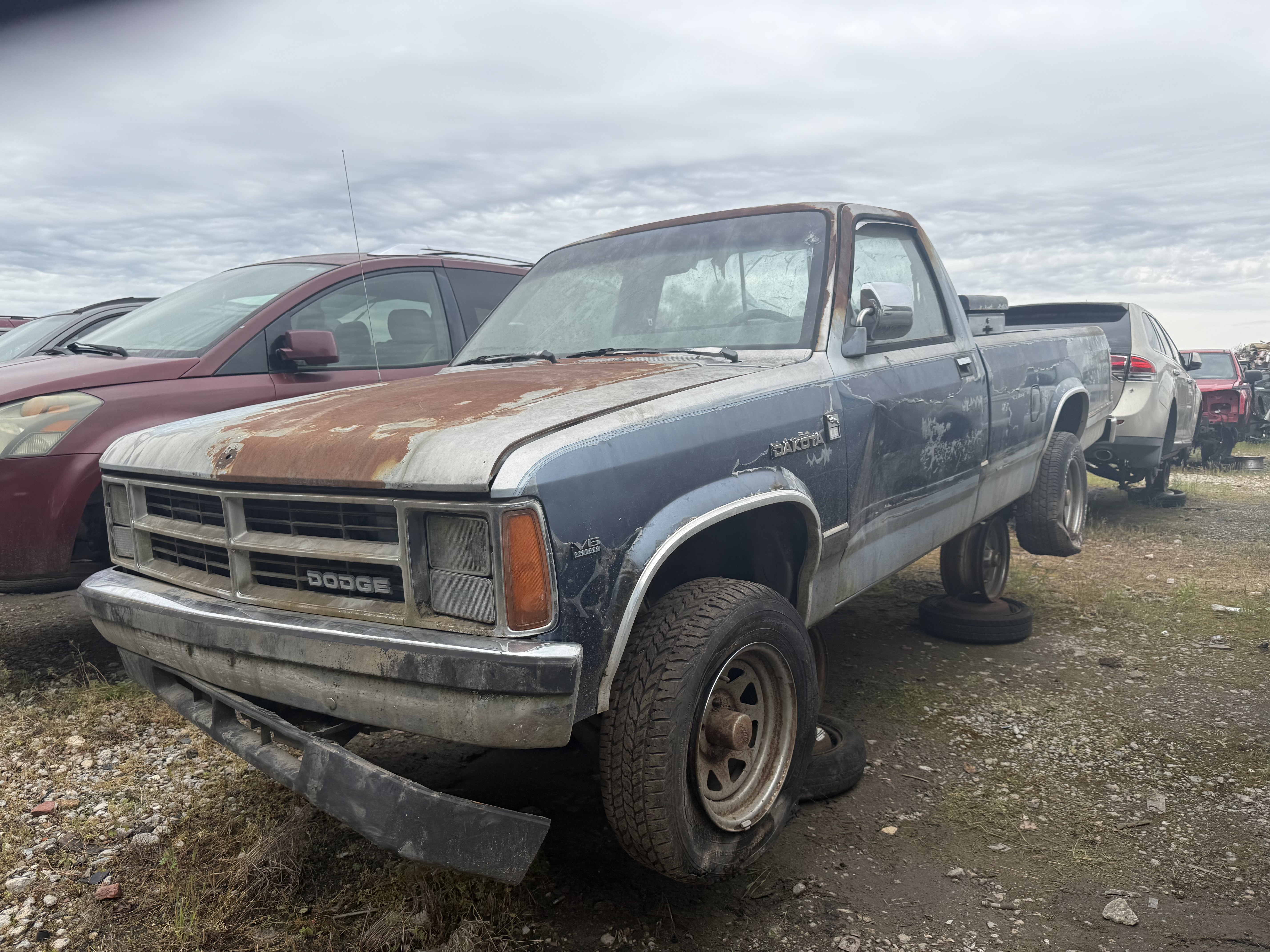1989 DODGE Dakota