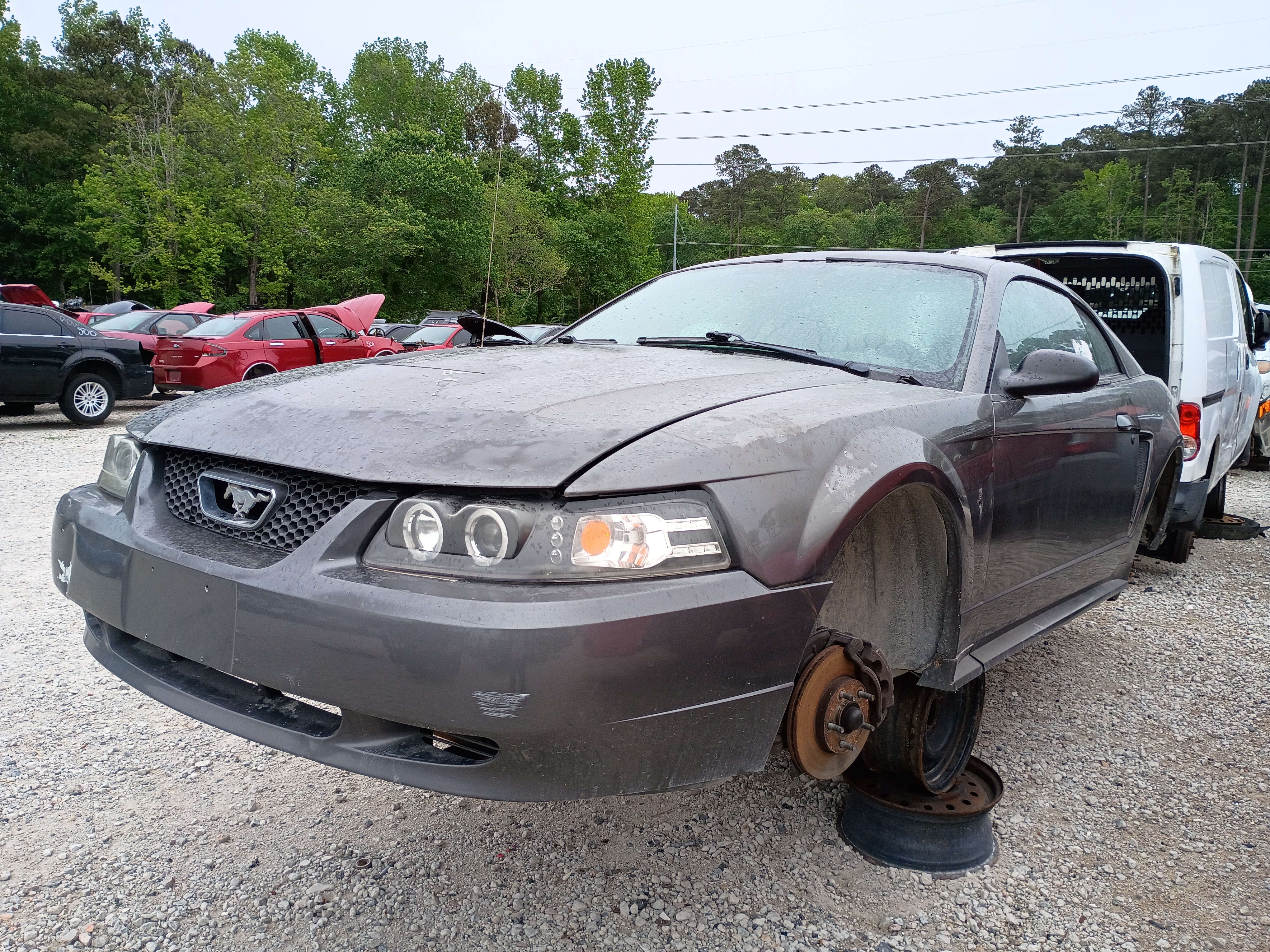 2003 FORD Mustang
