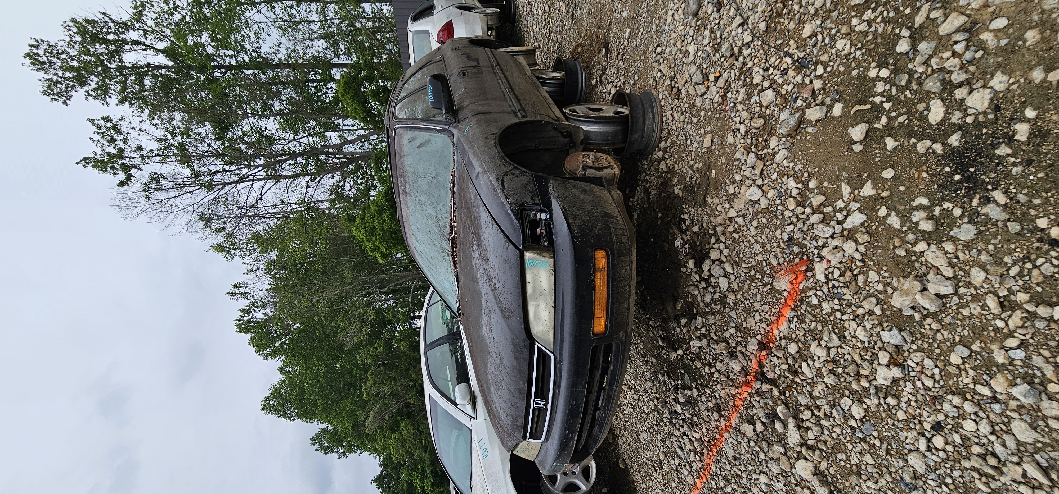 1997 HONDA Accord