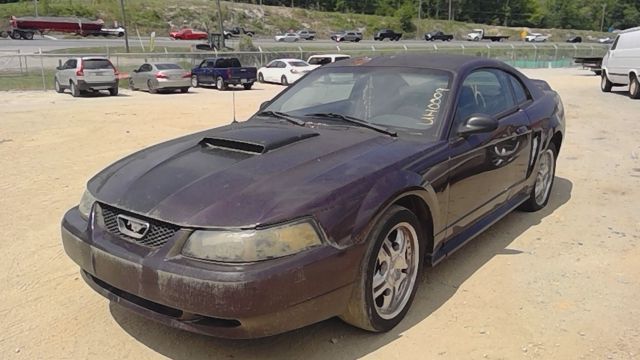 2000 FORD Mustang