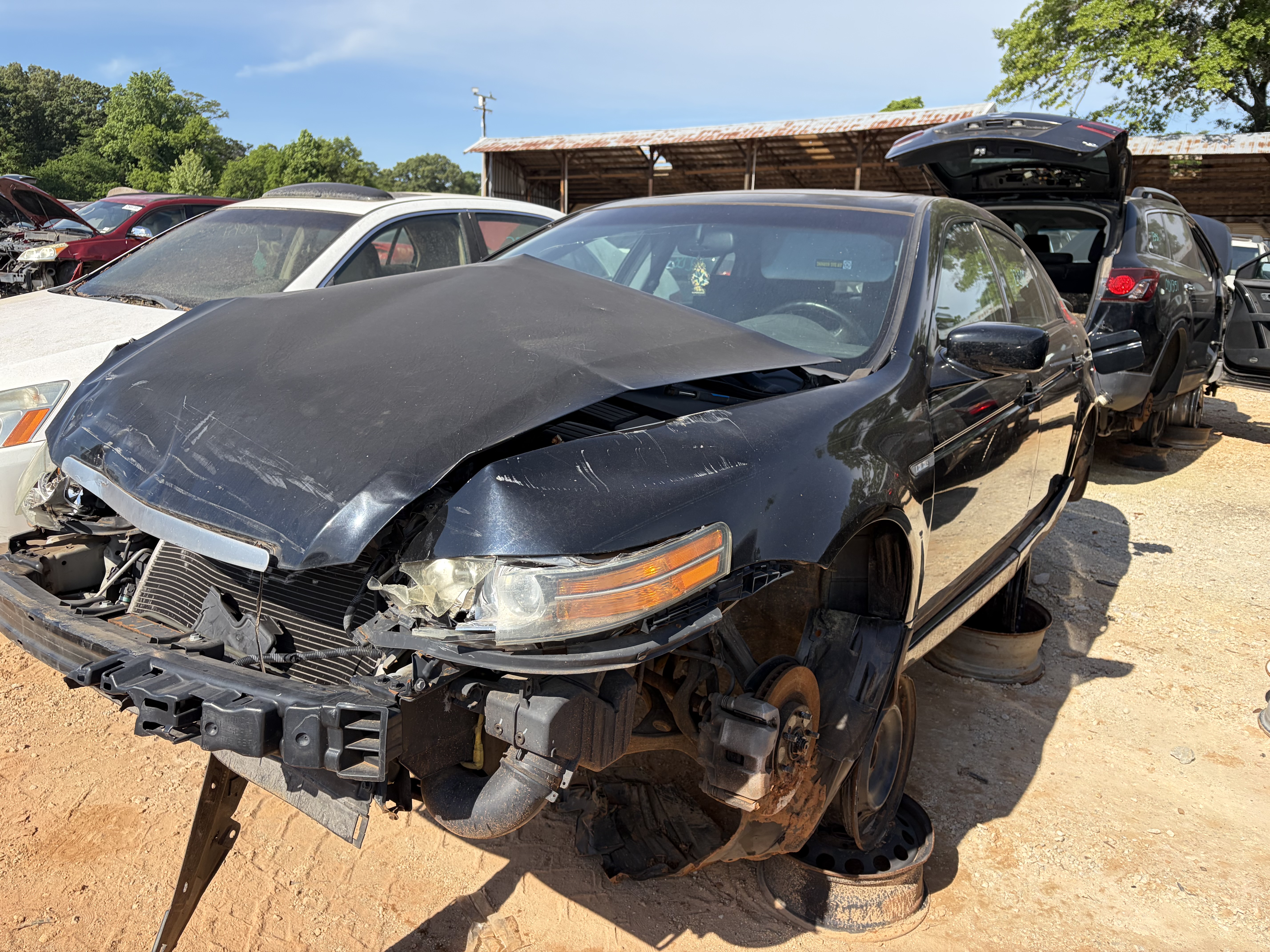2005 ACURA Tl