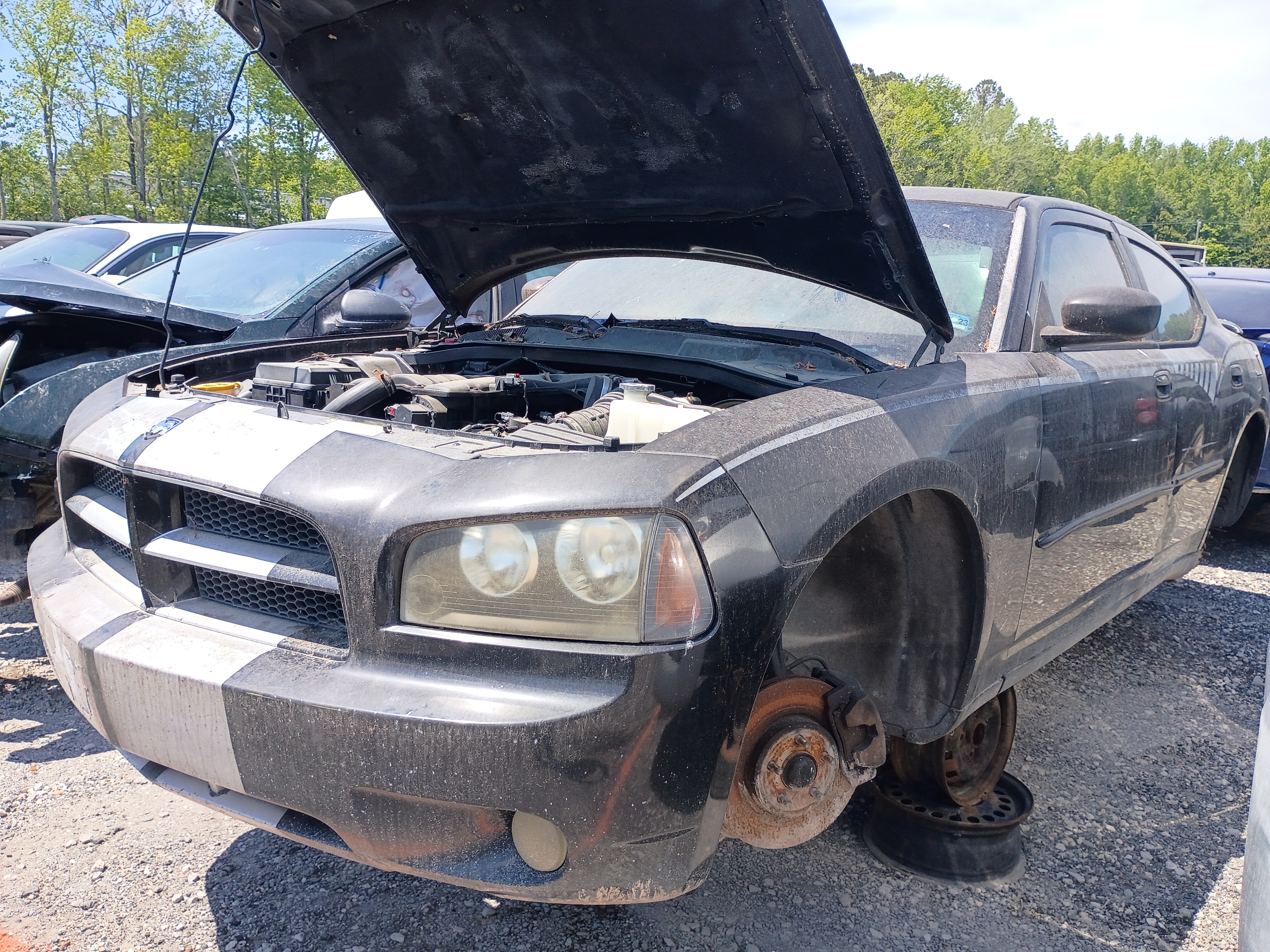 2008 DODGE Charger