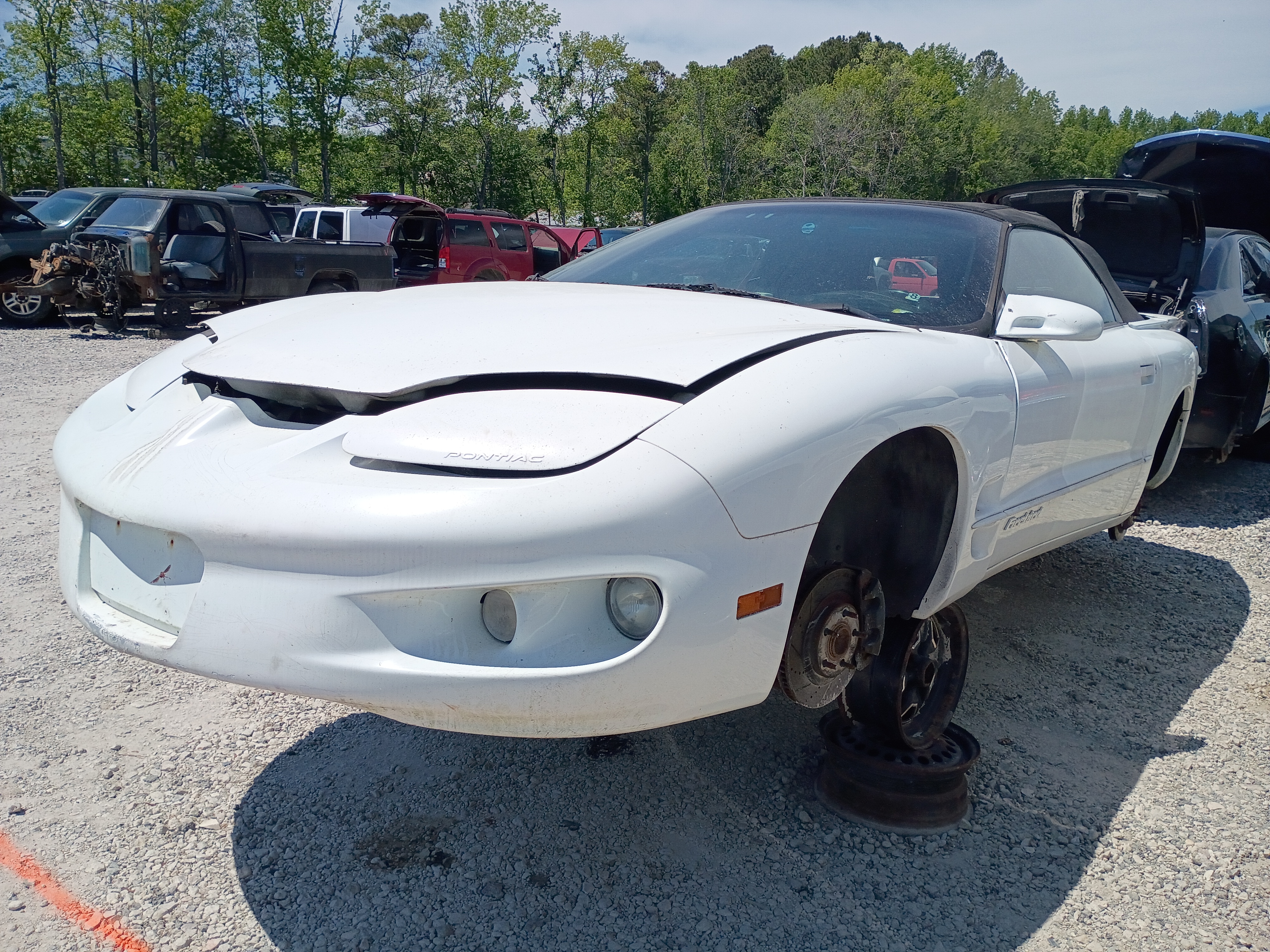 2002 PONTIAC Firebird