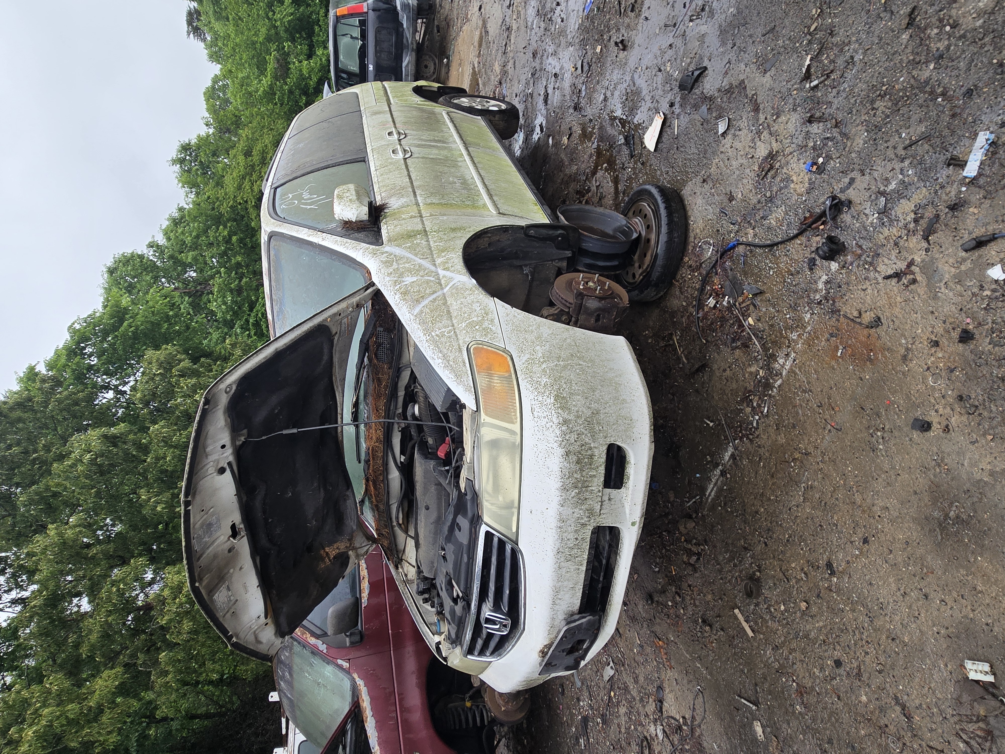 2004 HONDA Odyssey
