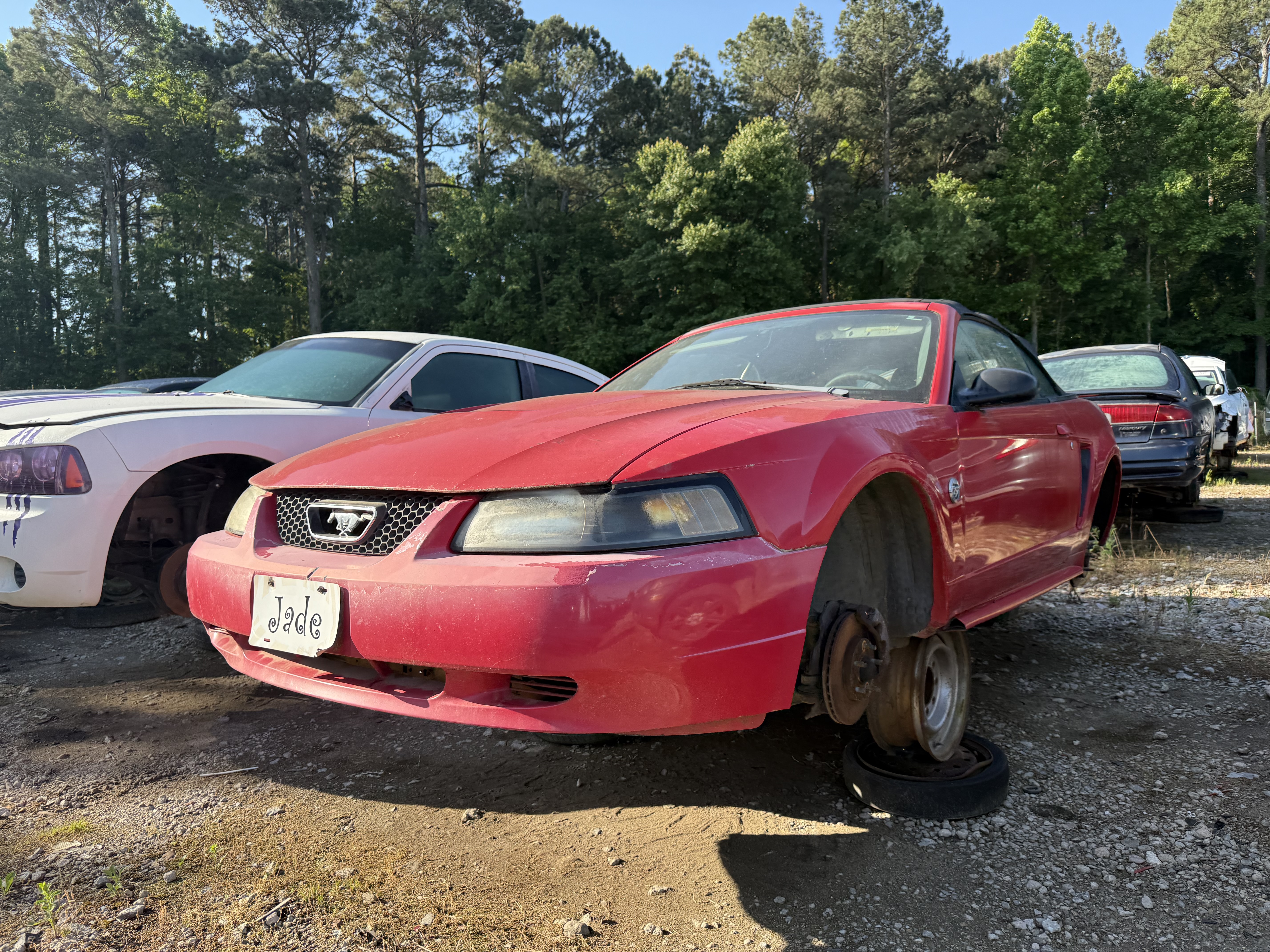 2004 FORD Mustang