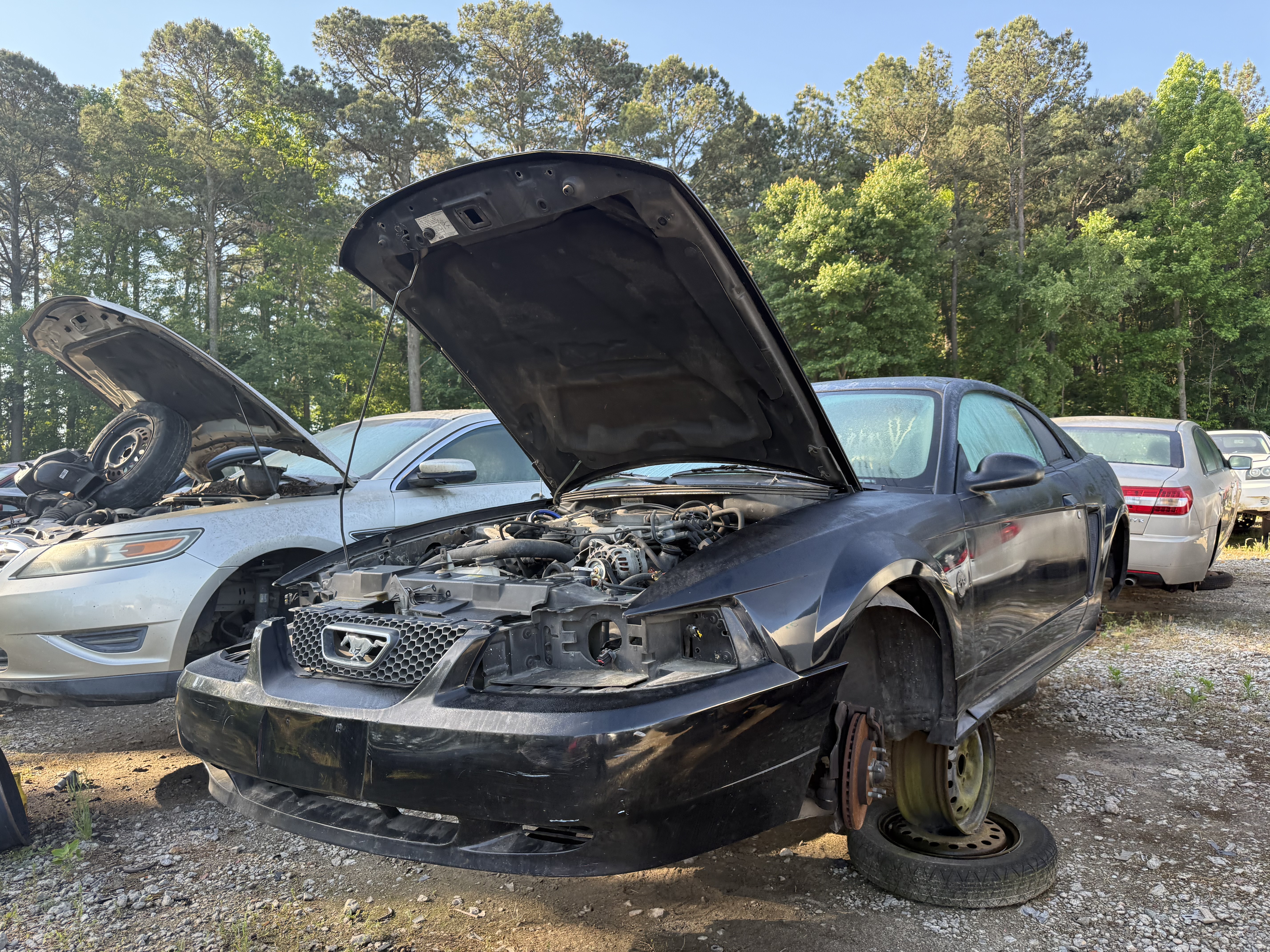 2004 FORD Mustang