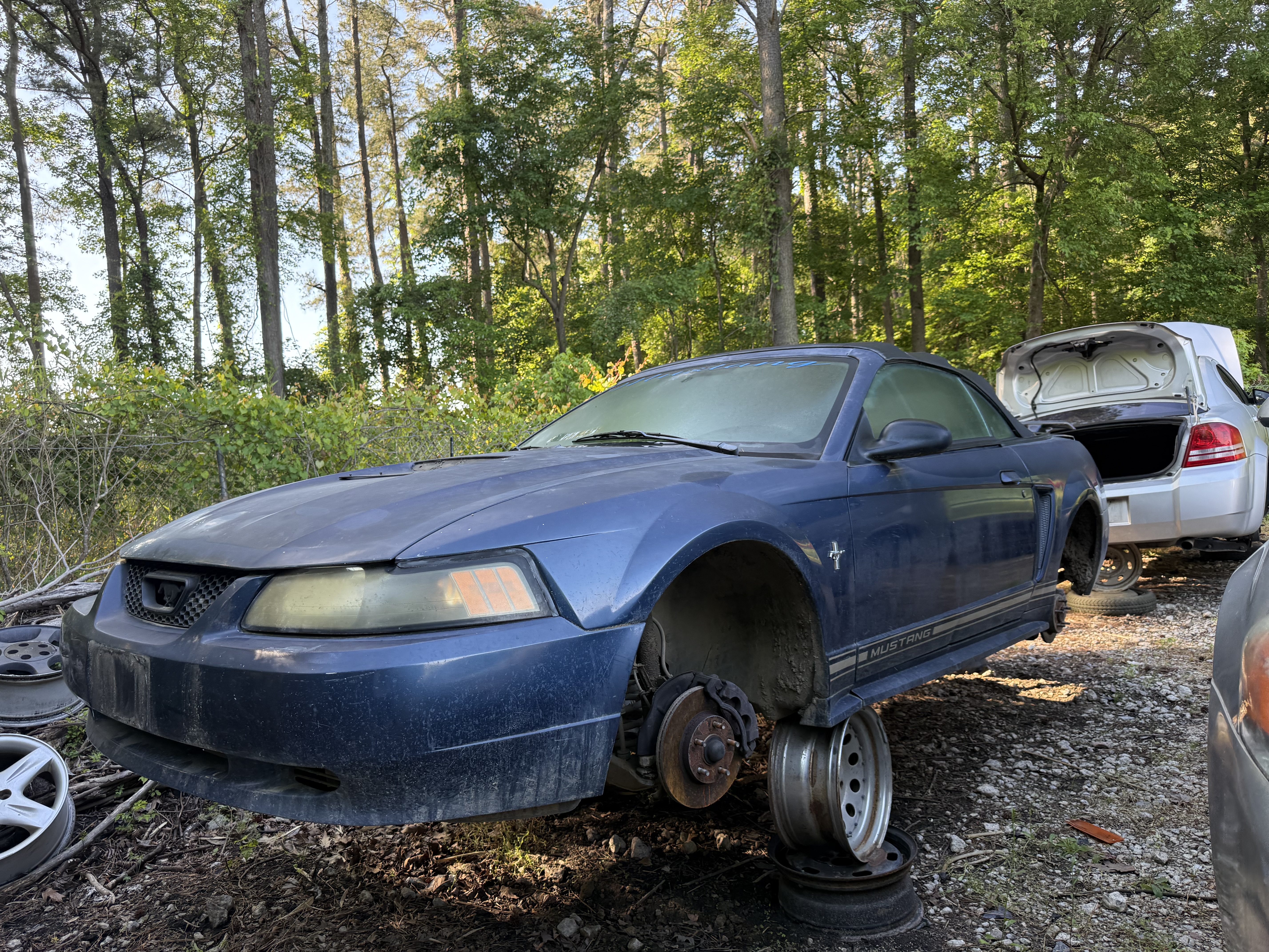 2001 FORD Mustang