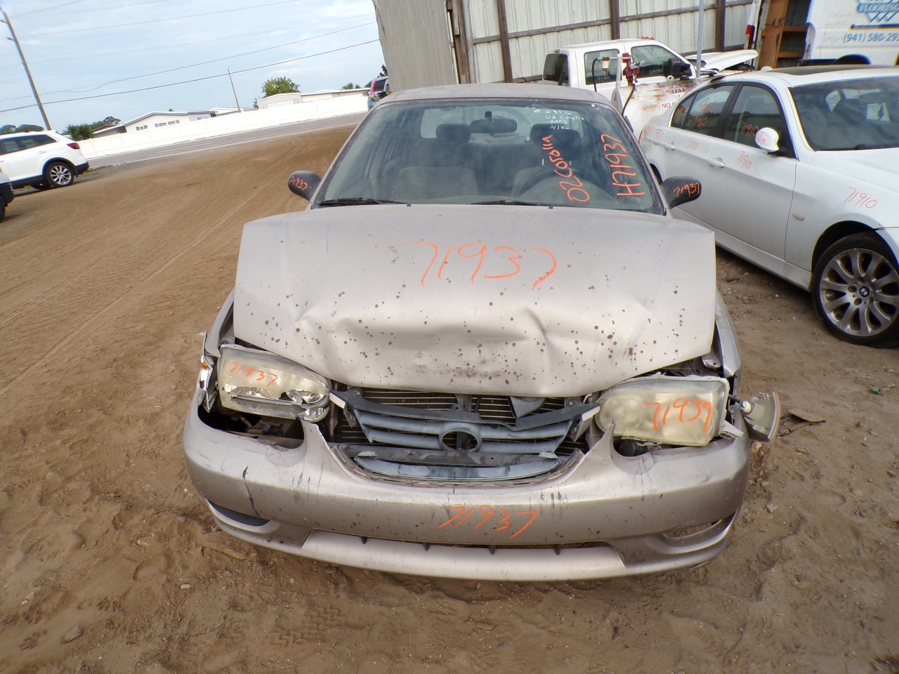 2002 TOYOTA Corolla