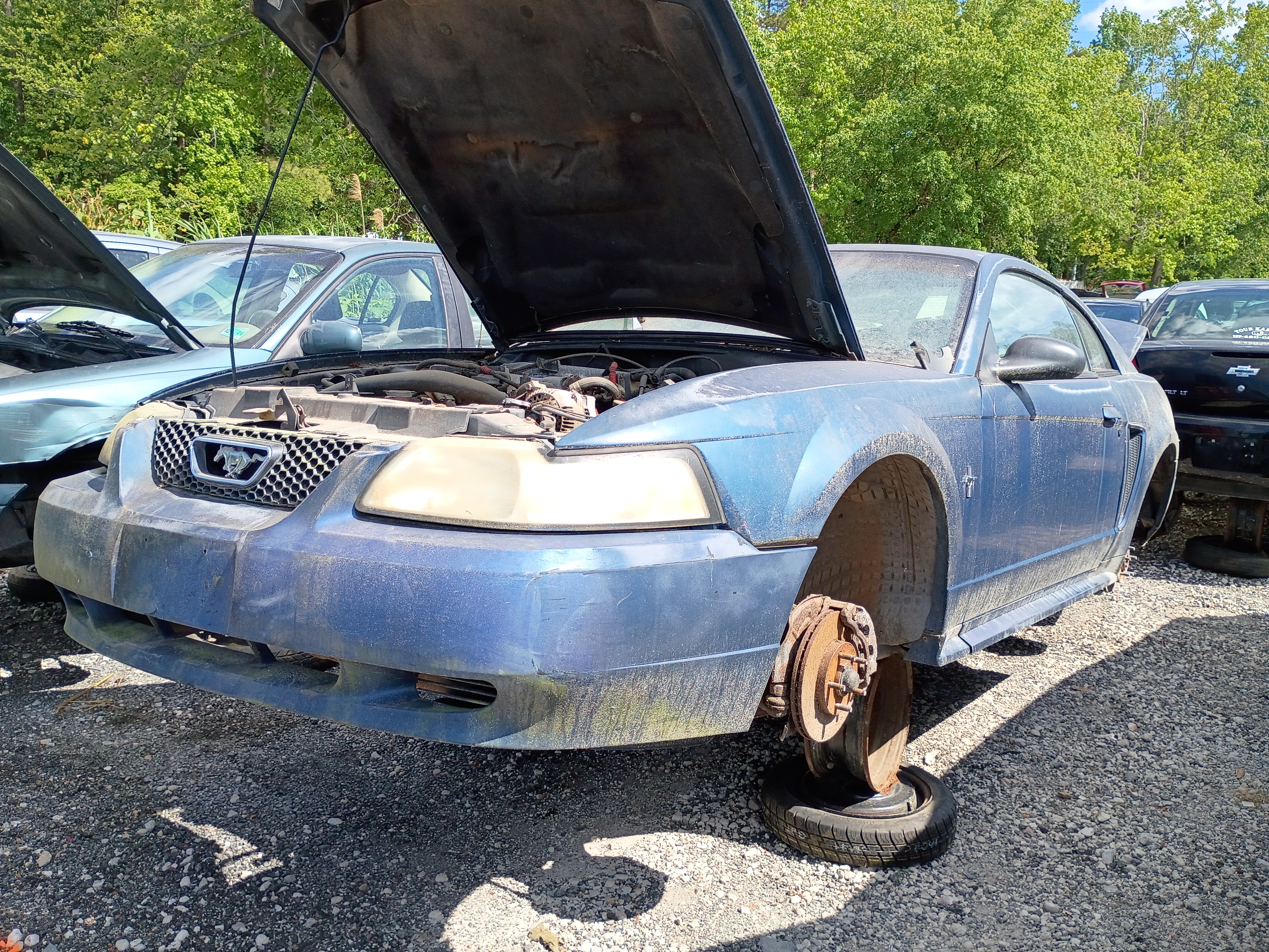 2000 FORD Mustang