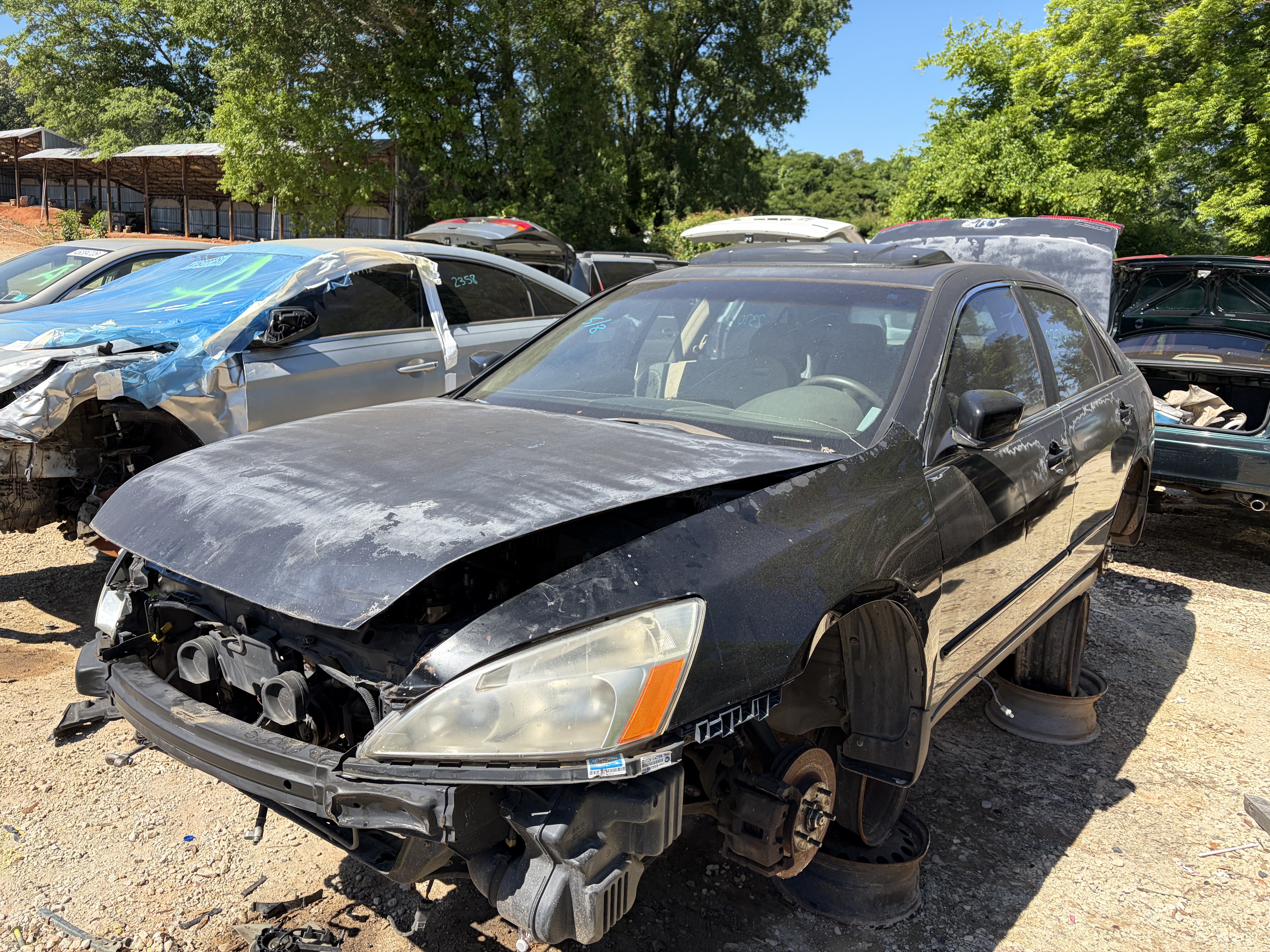 2004 HONDA Accord