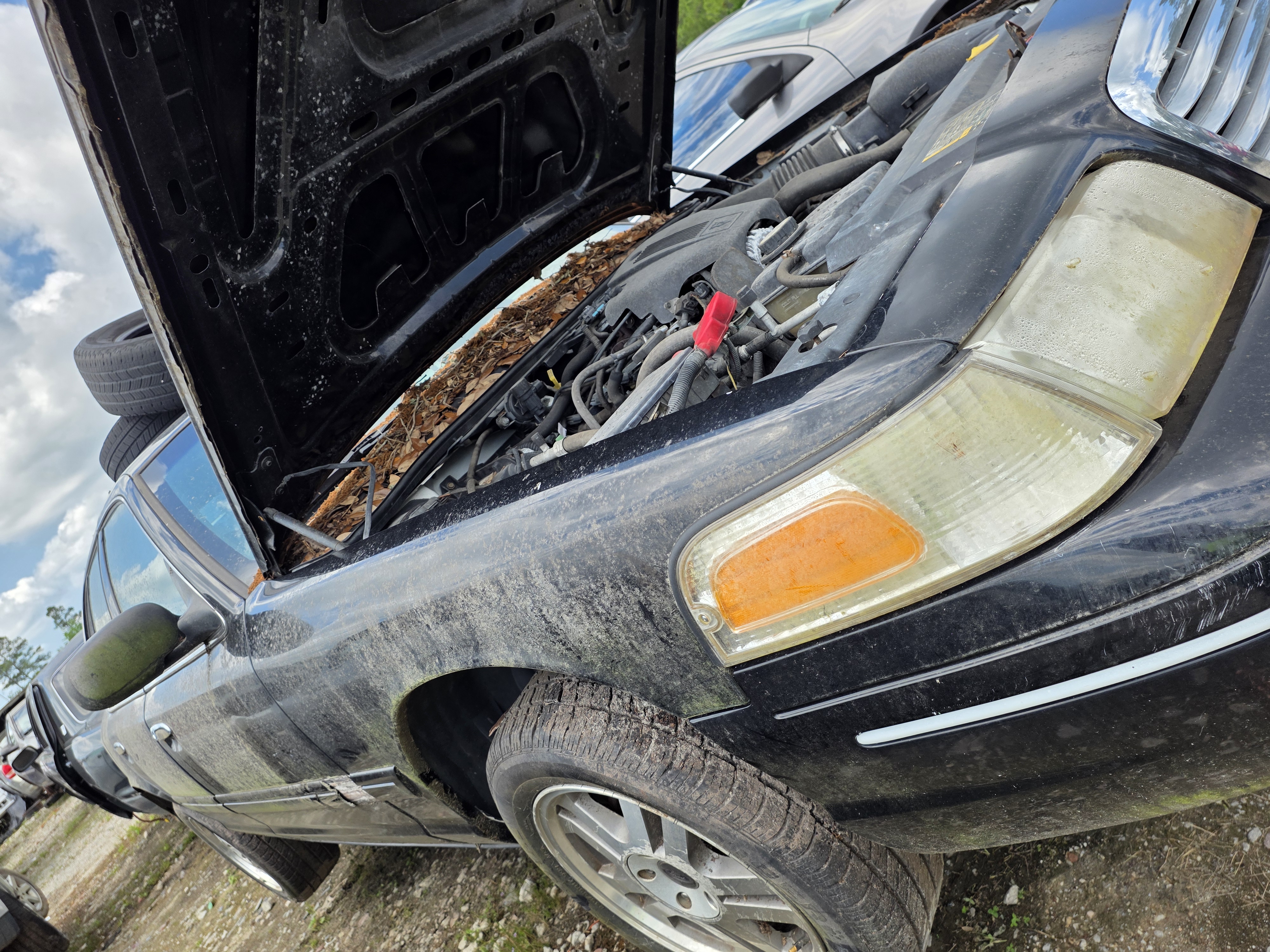 2004 FORD Crown Victoria