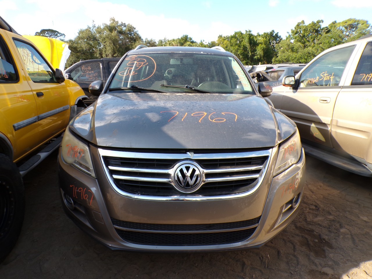 2011 VOLKSWAGEN Tiguan