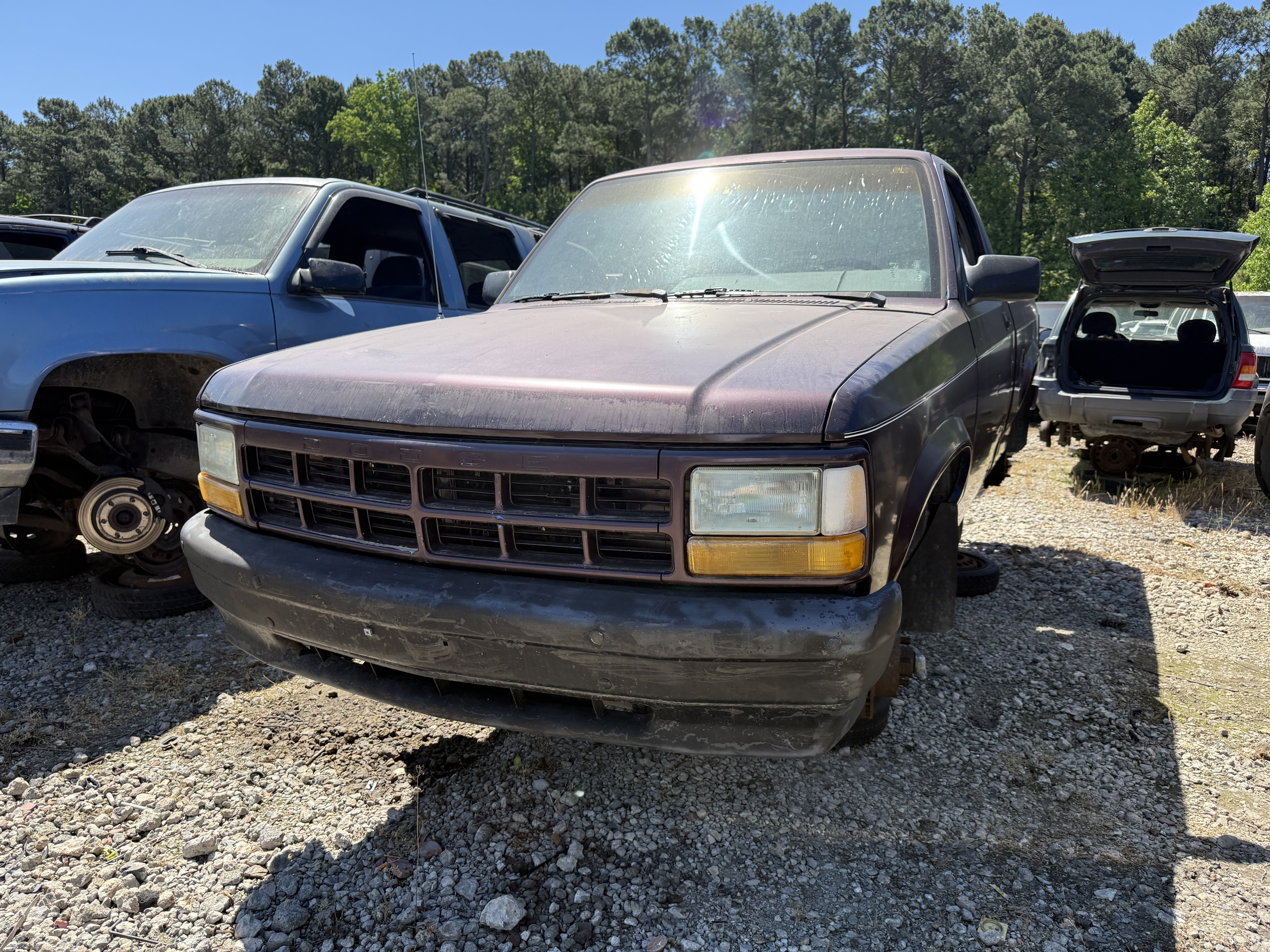 1995 DODGE Dakota