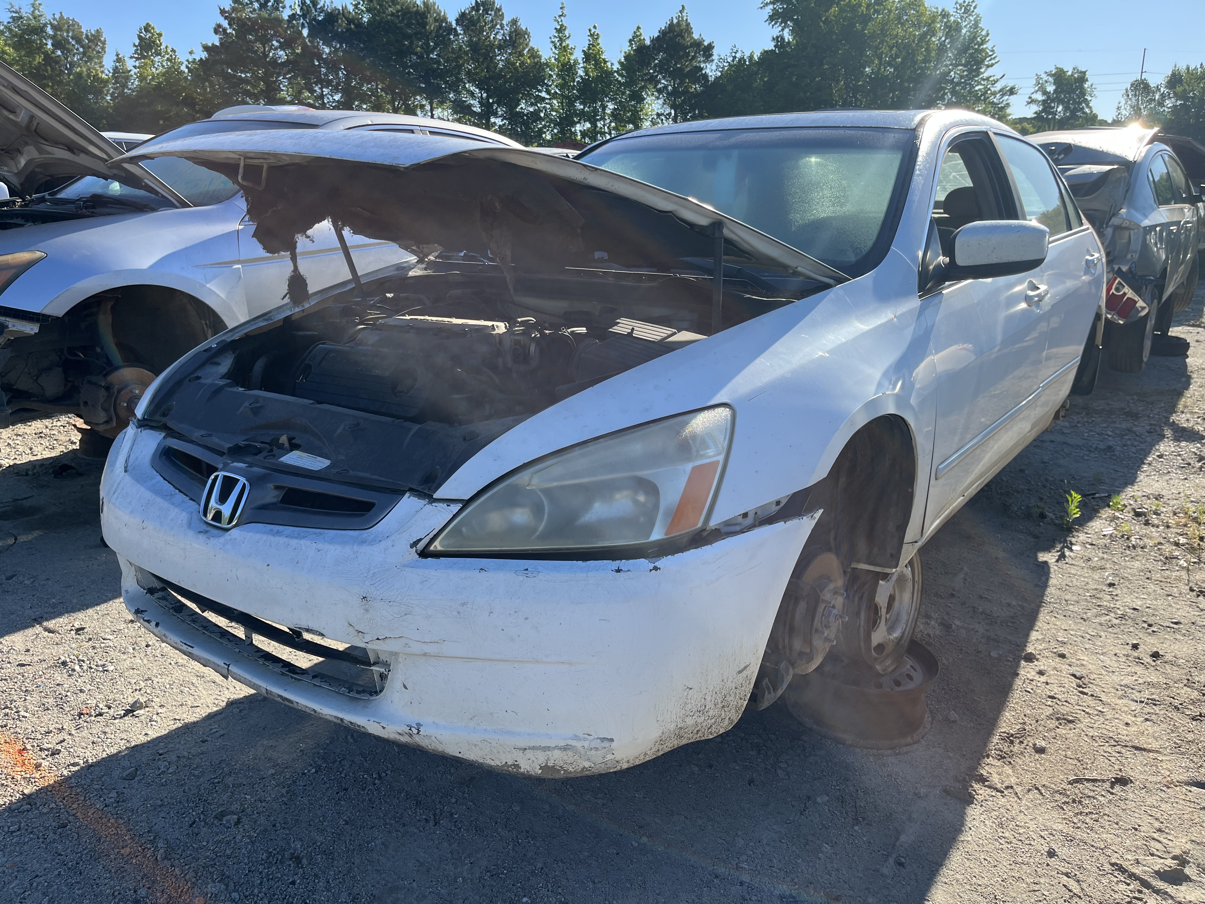 2003 HONDA Accord