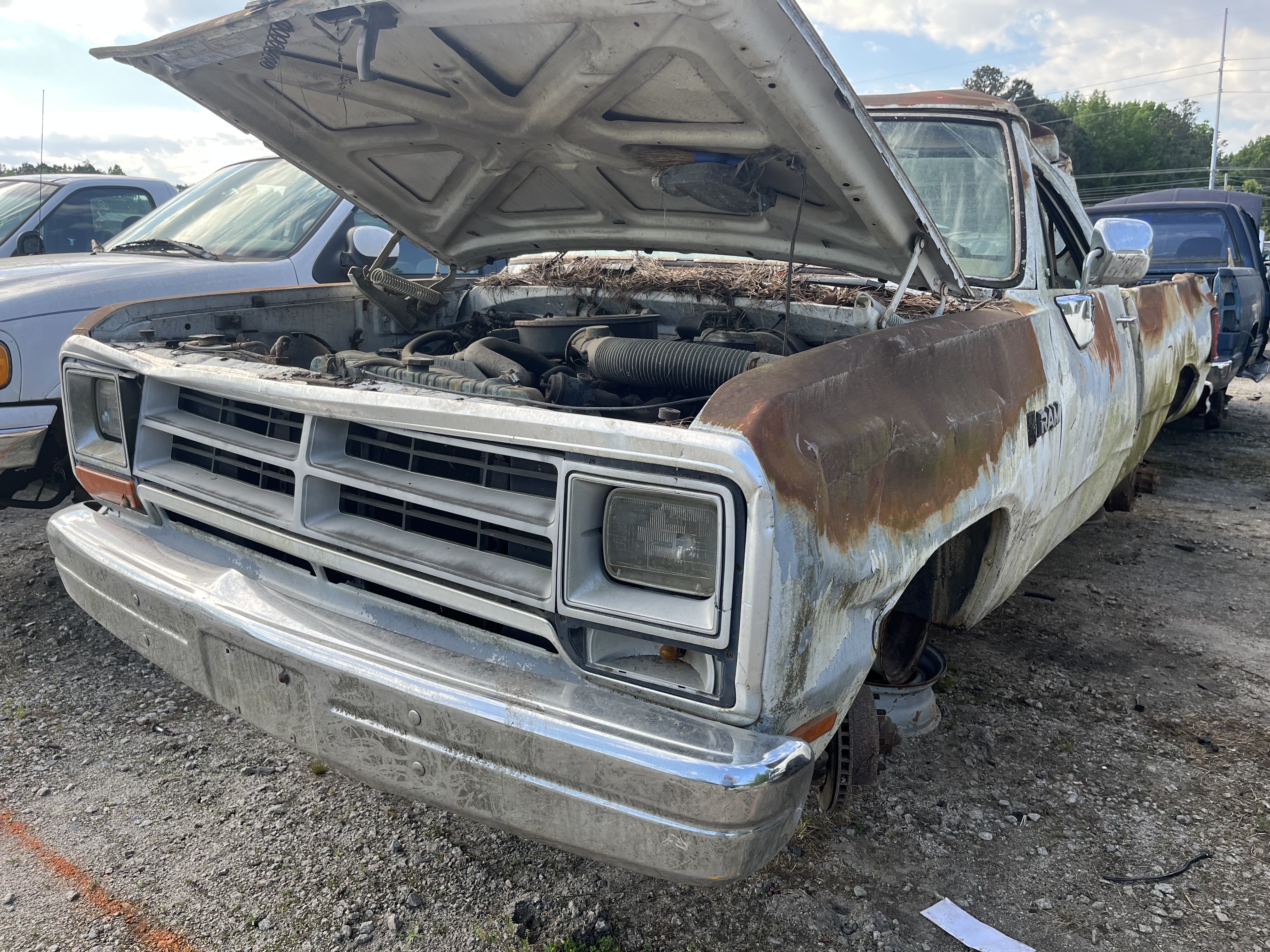 1989 DODGE D-Series