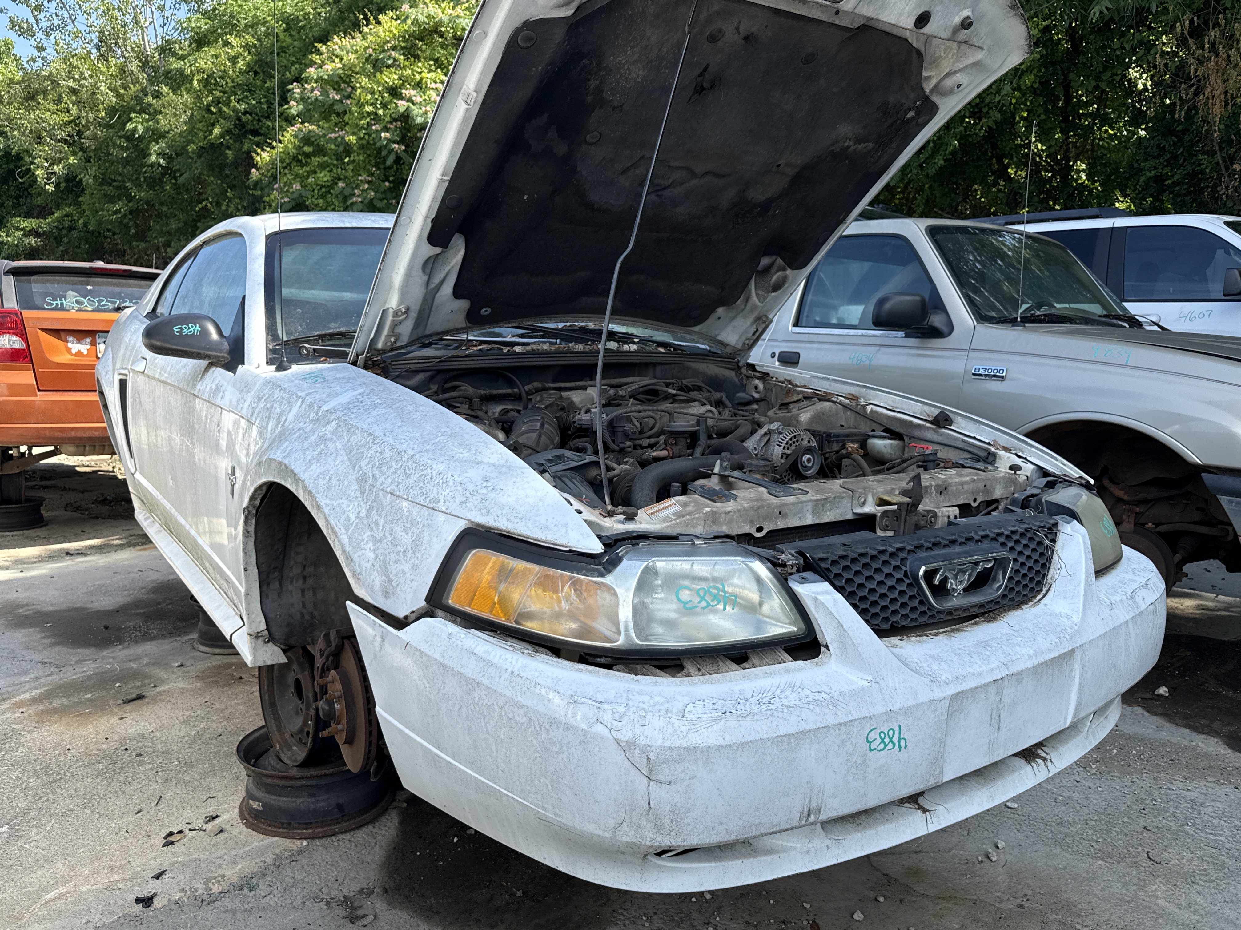2000 FORD Mustang