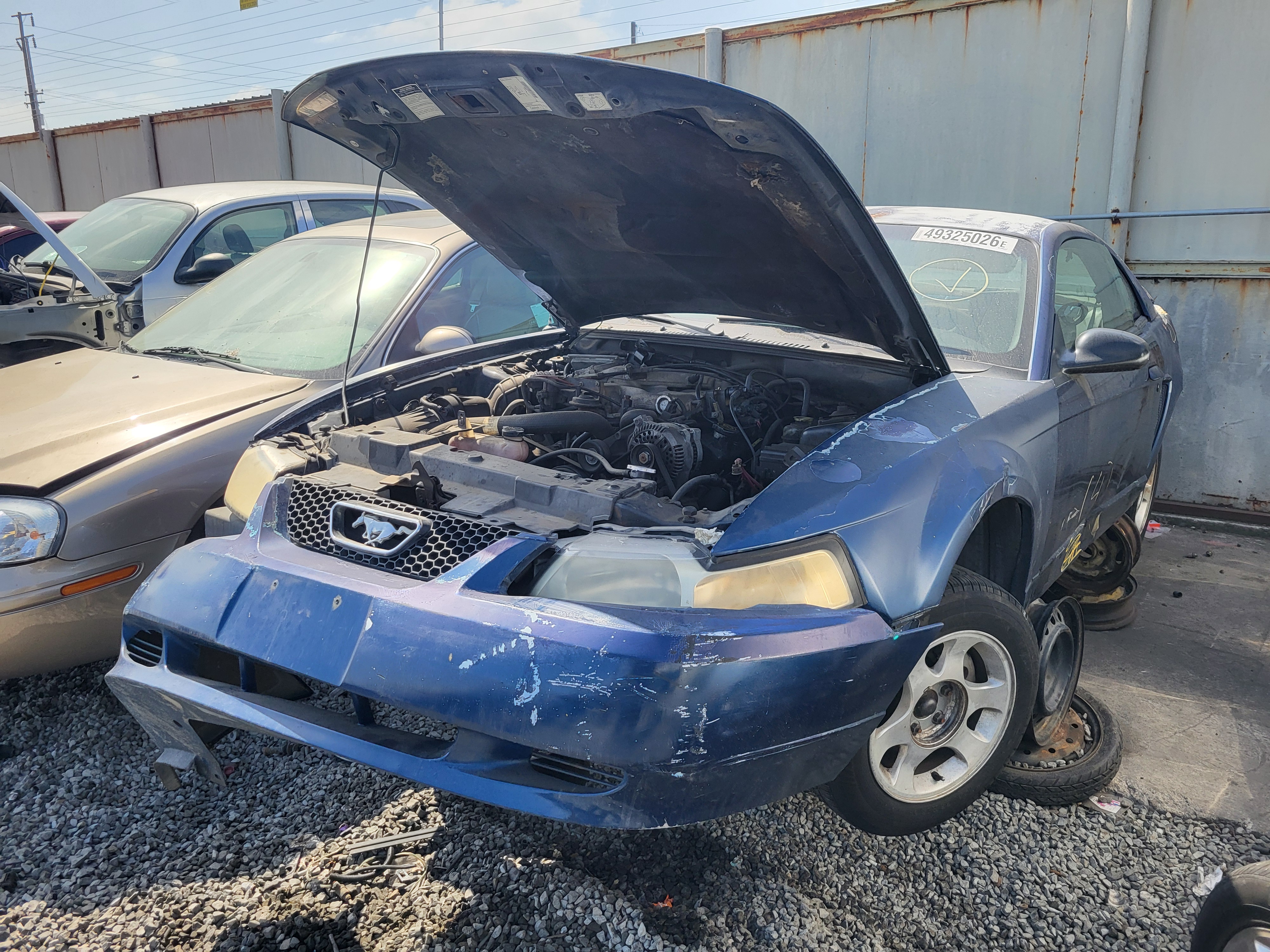 1999 FORD Mustang