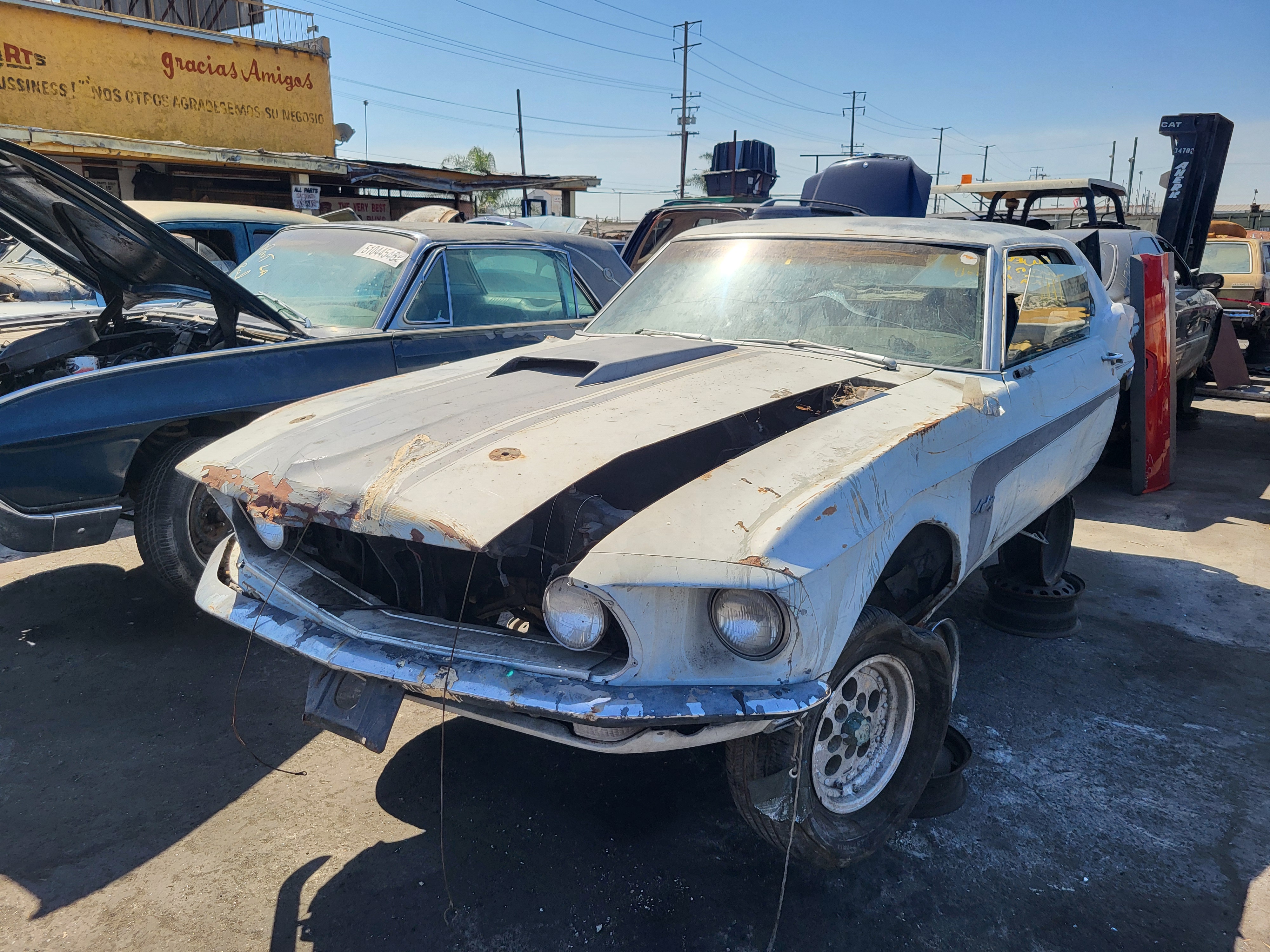 1969 FORD Mustang