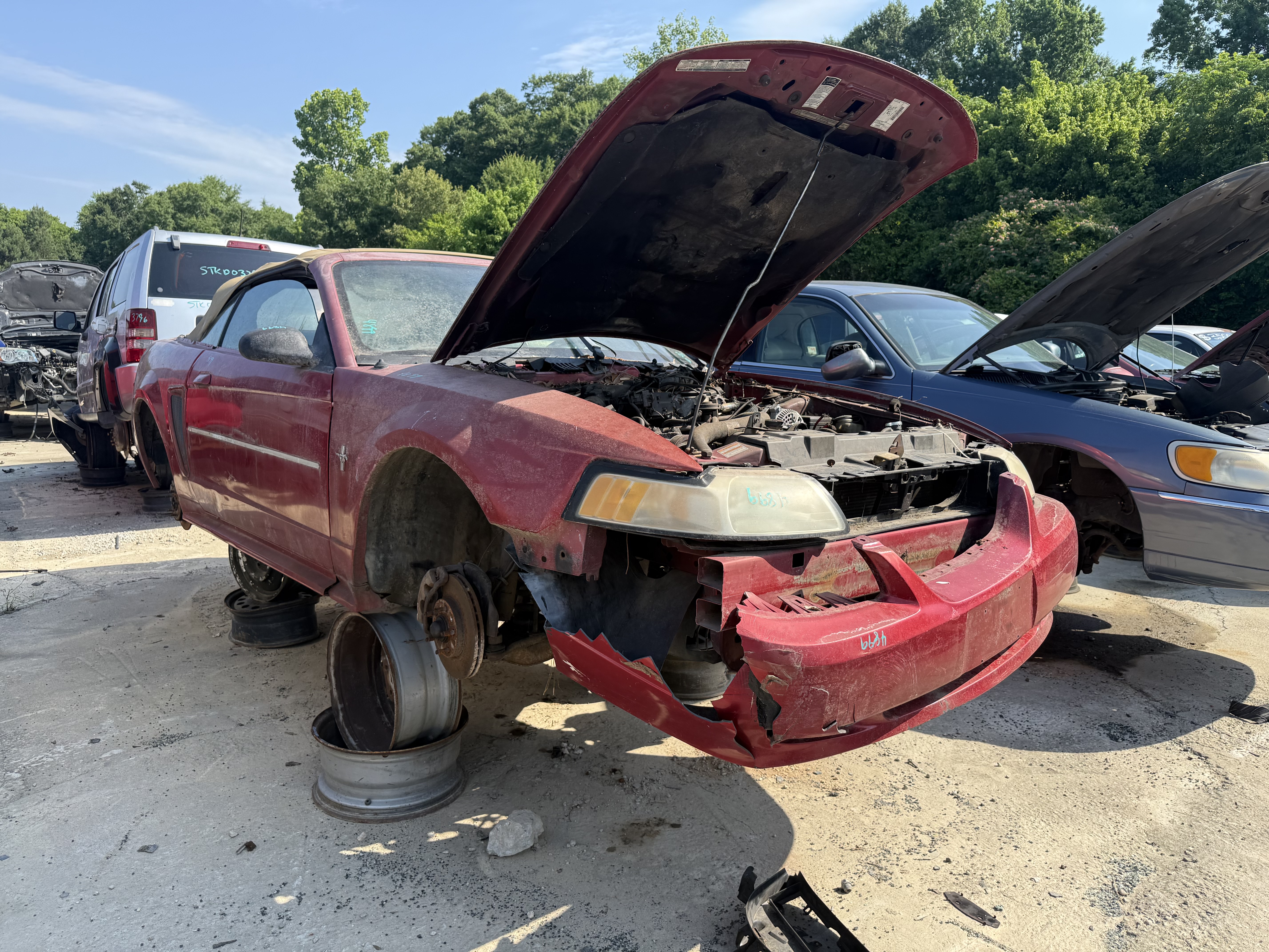 2000 FORD Mustang