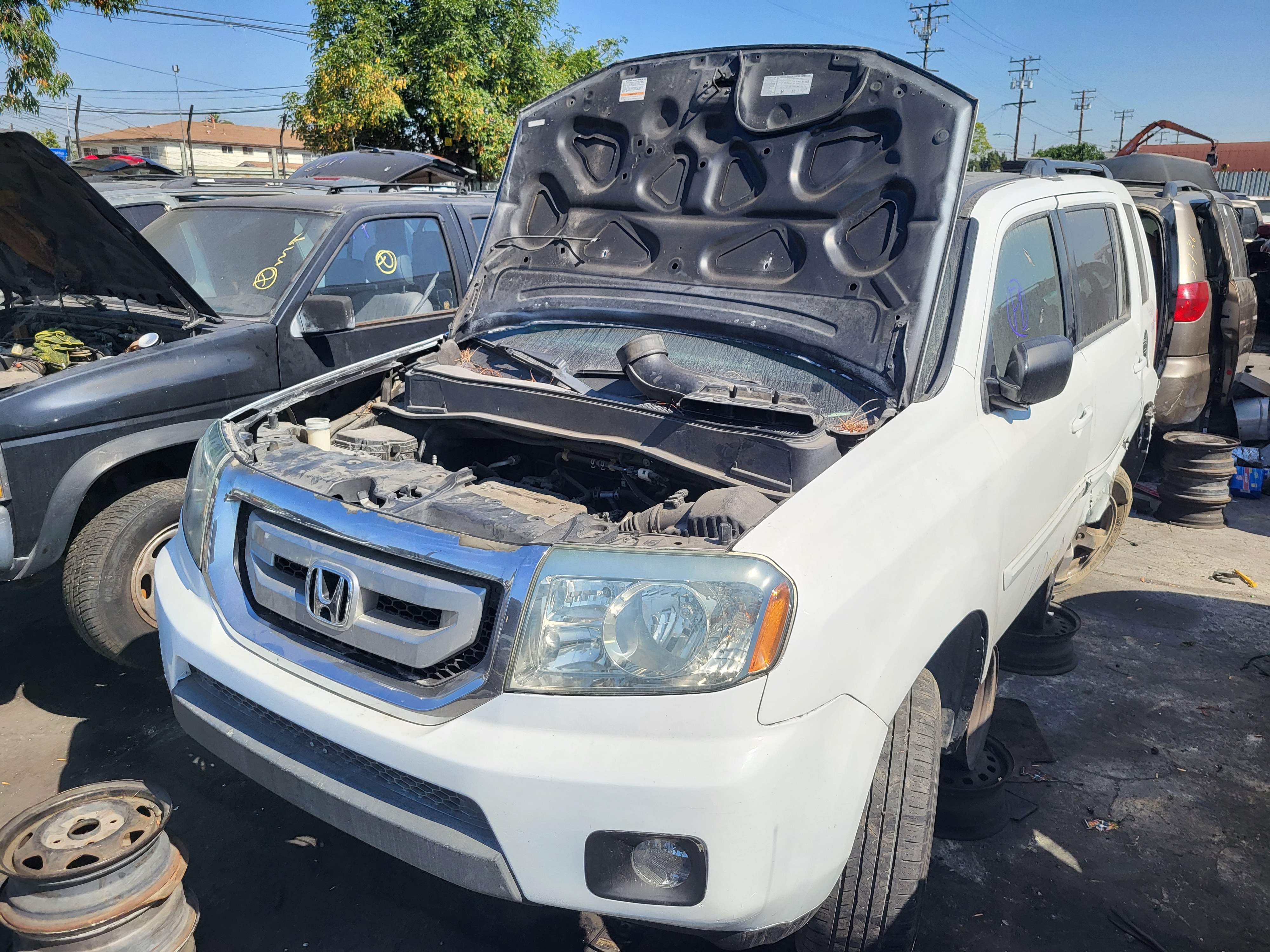 2009 HONDA Pilot