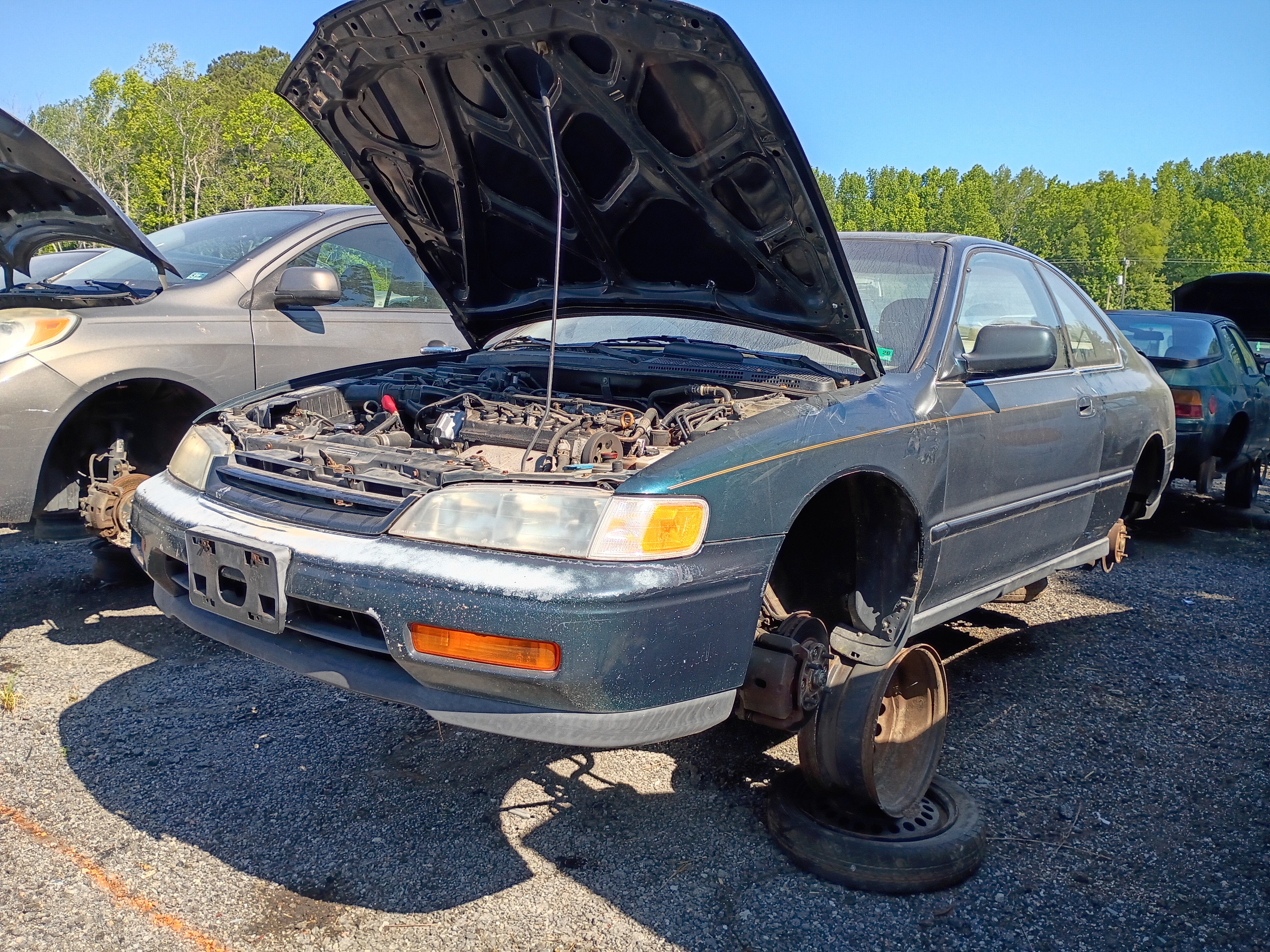 1995 HONDA Accord