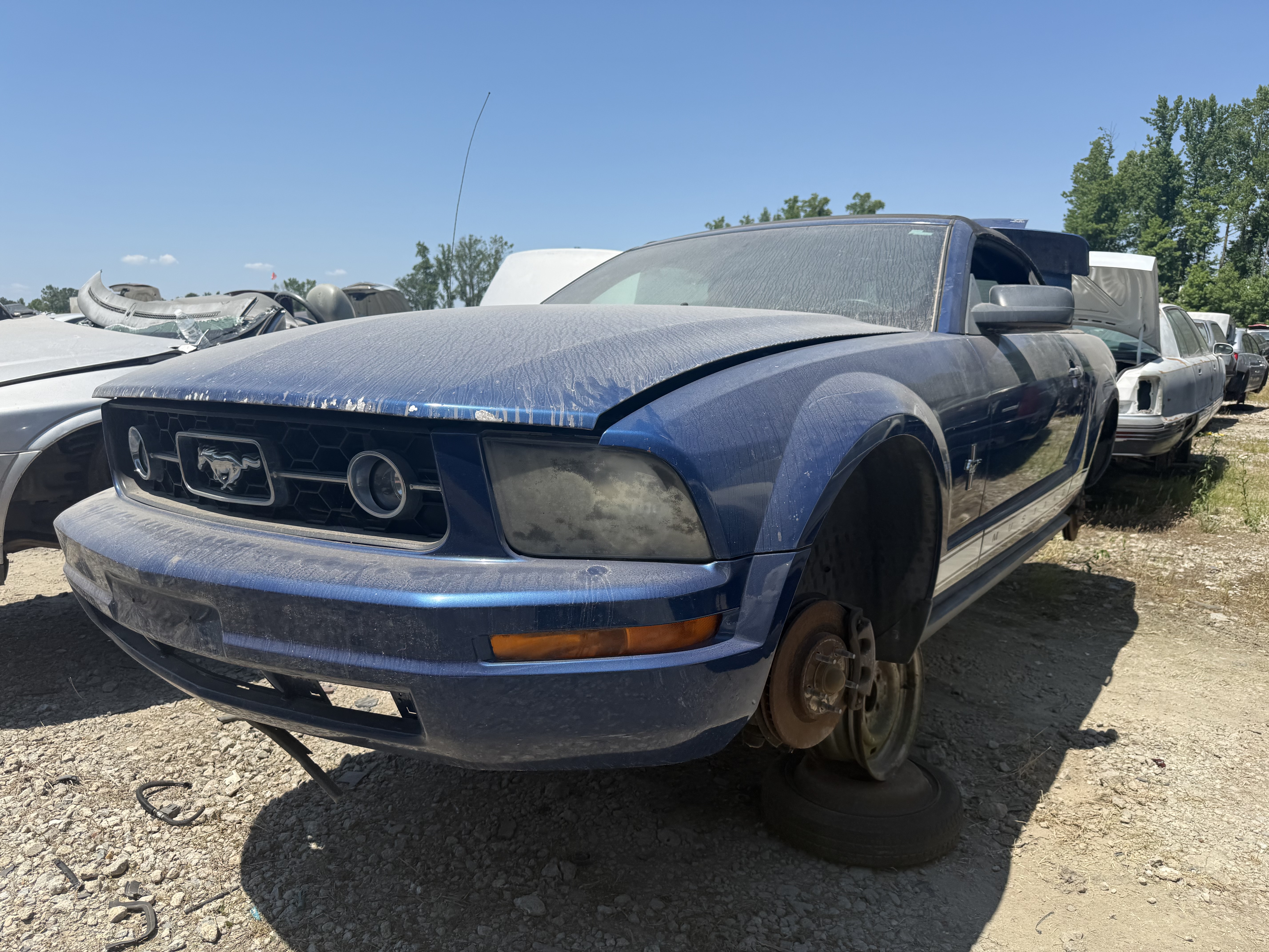 2007 FORD Mustang