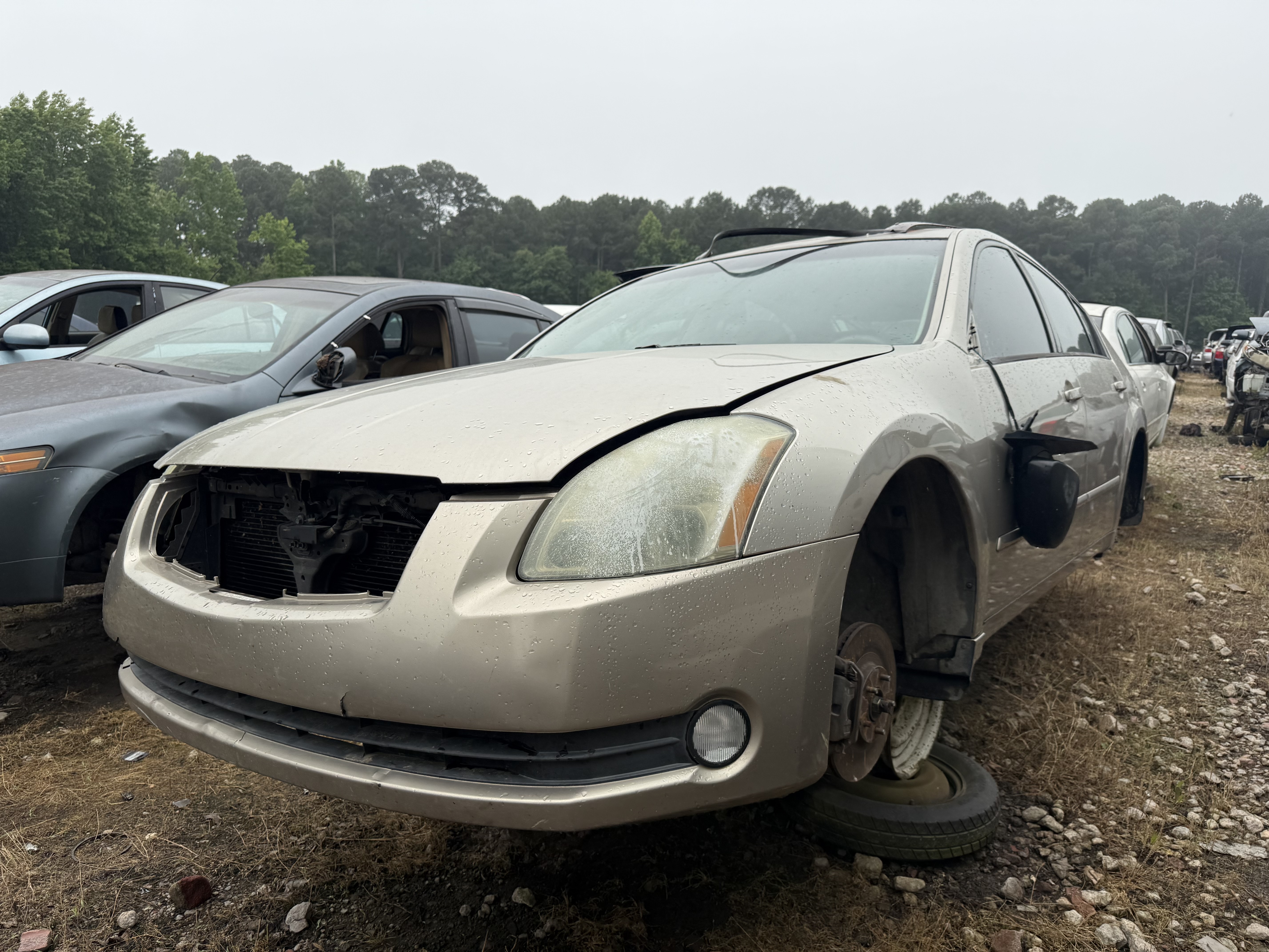 2006 NISSAN Maxima