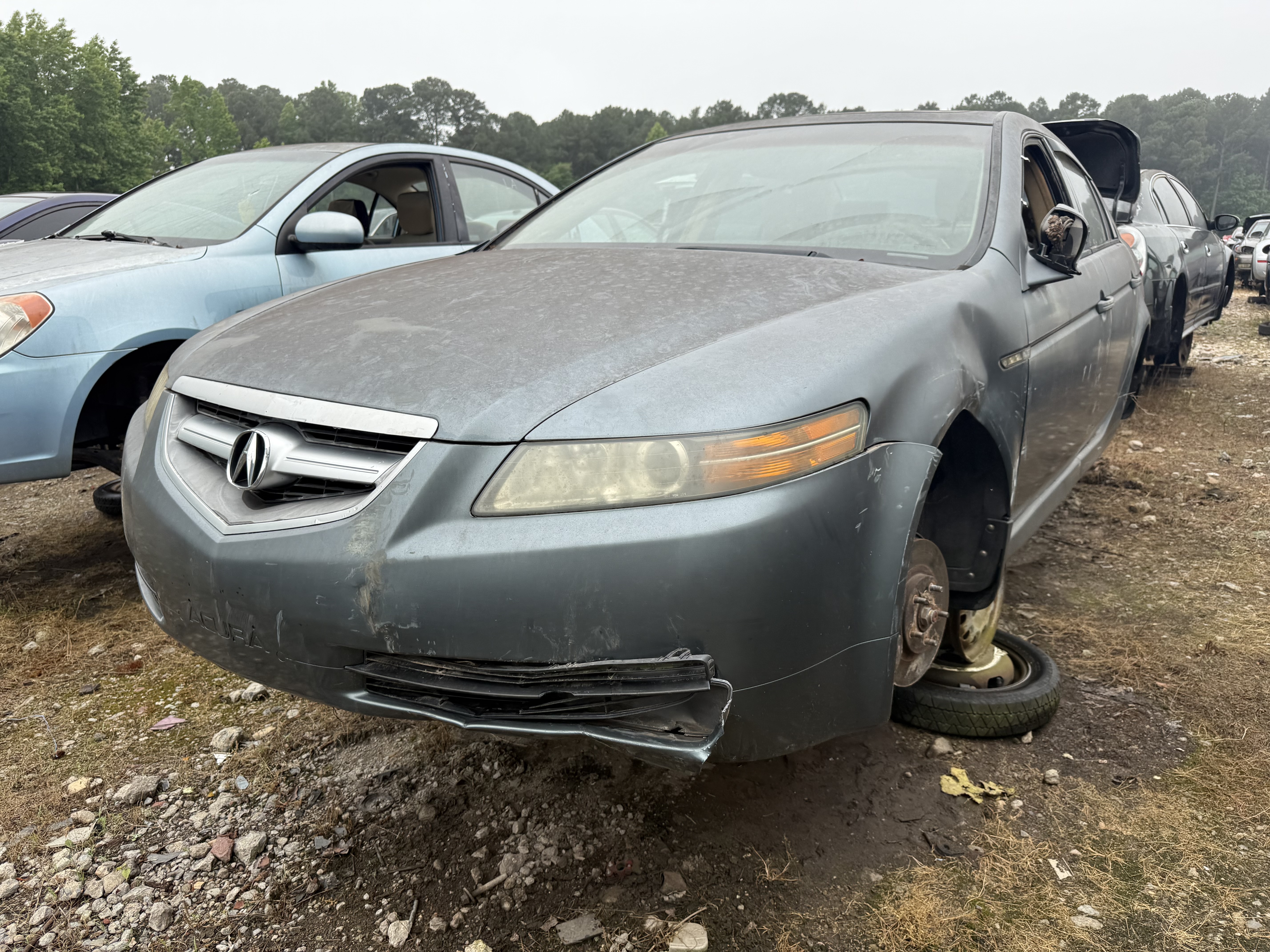 2005 ACURA Tl