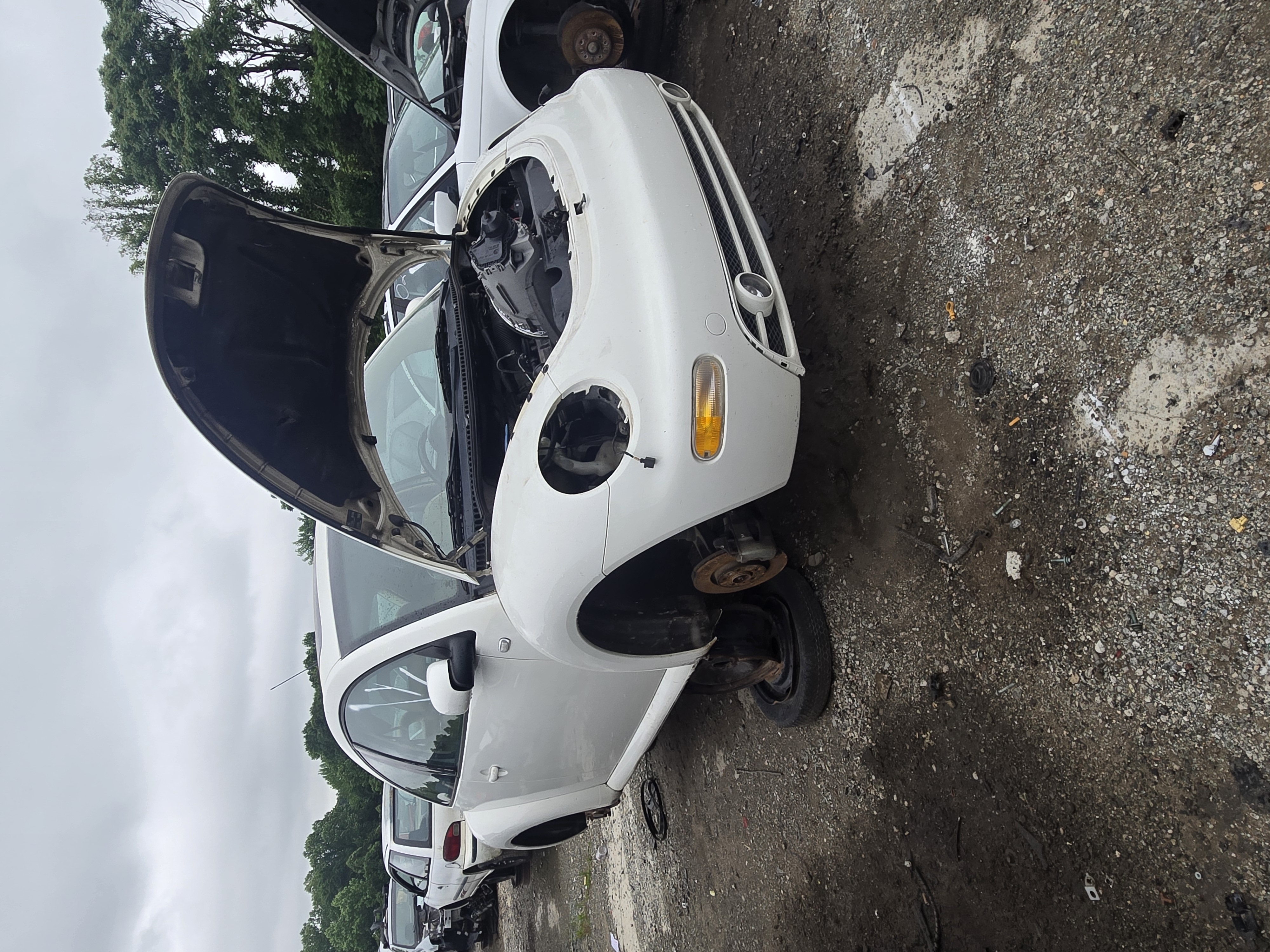 2002 VOLKSWAGEN Beetle