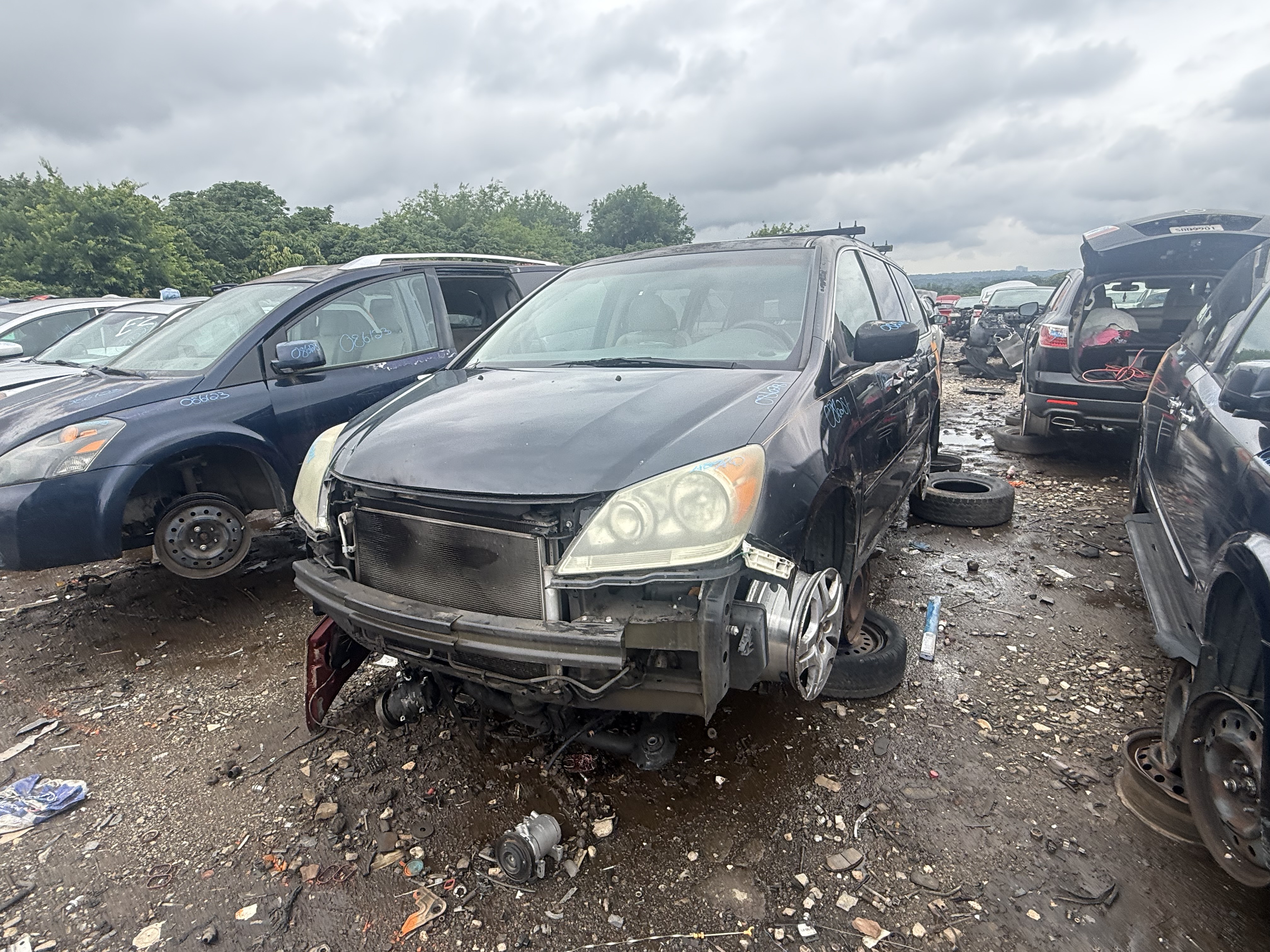 2008 HONDA Odyssey