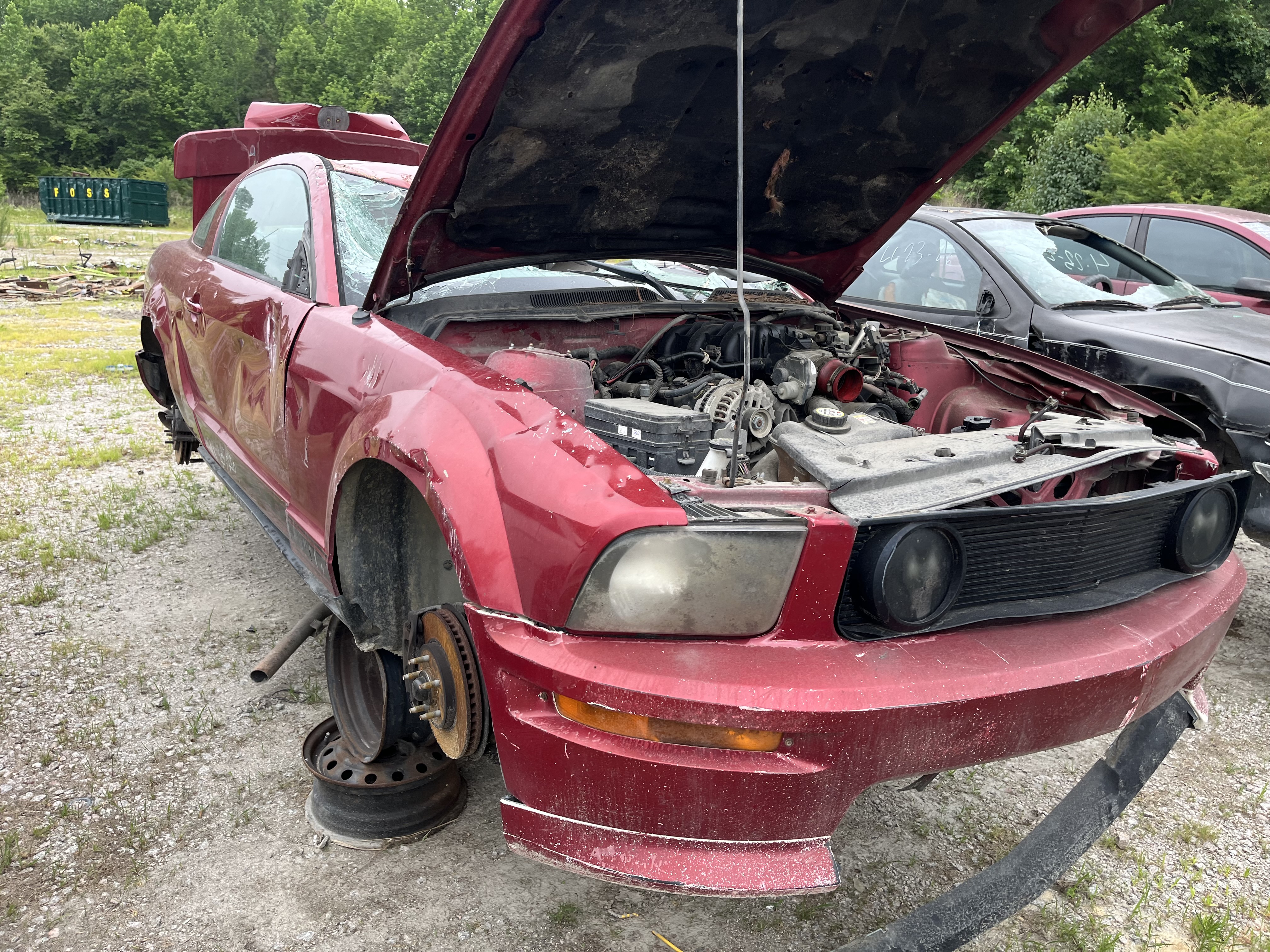 2007 FORD Mustang