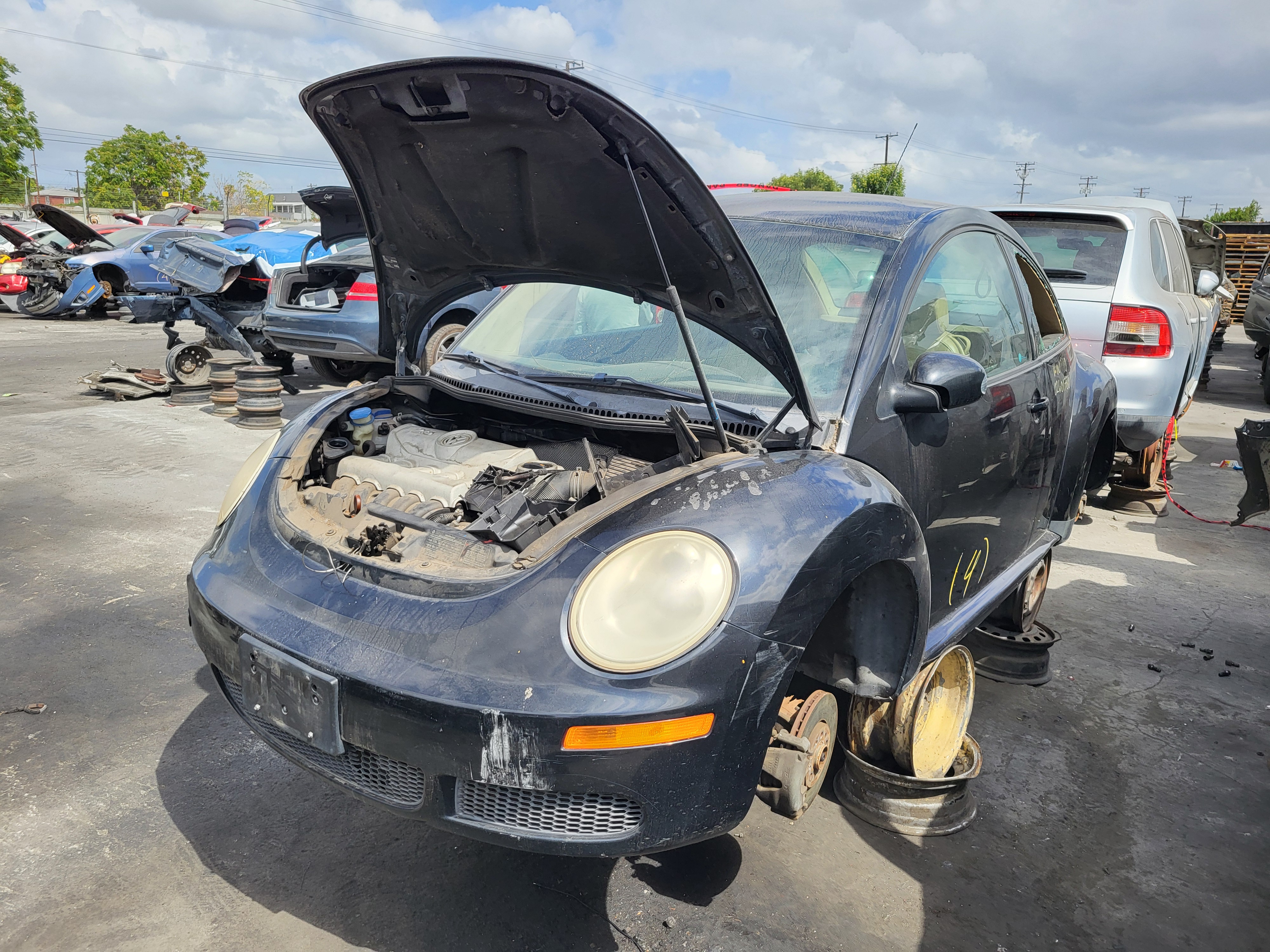 2010 VOLKSWAGEN Beetle