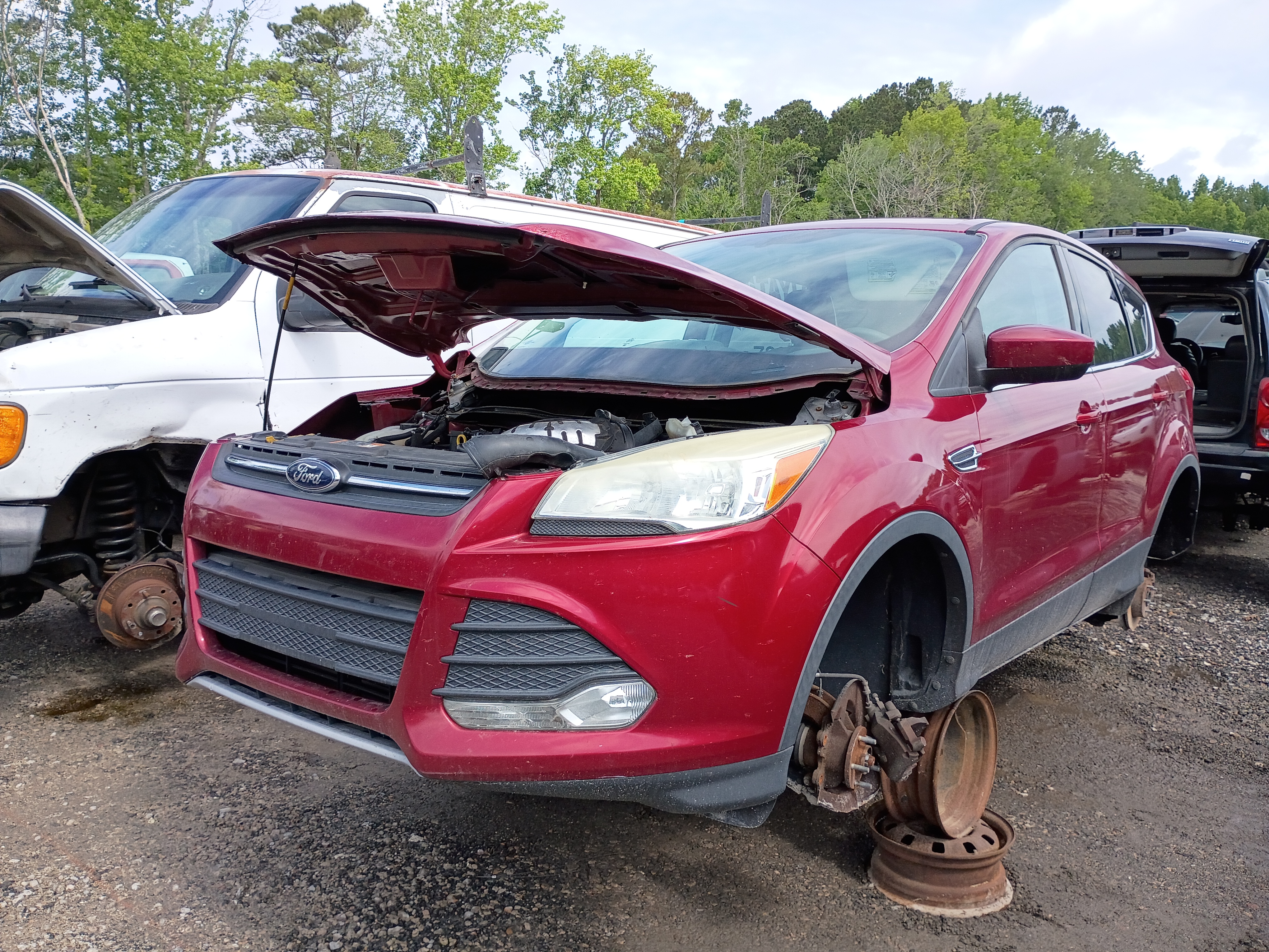 2014 FORD Escape