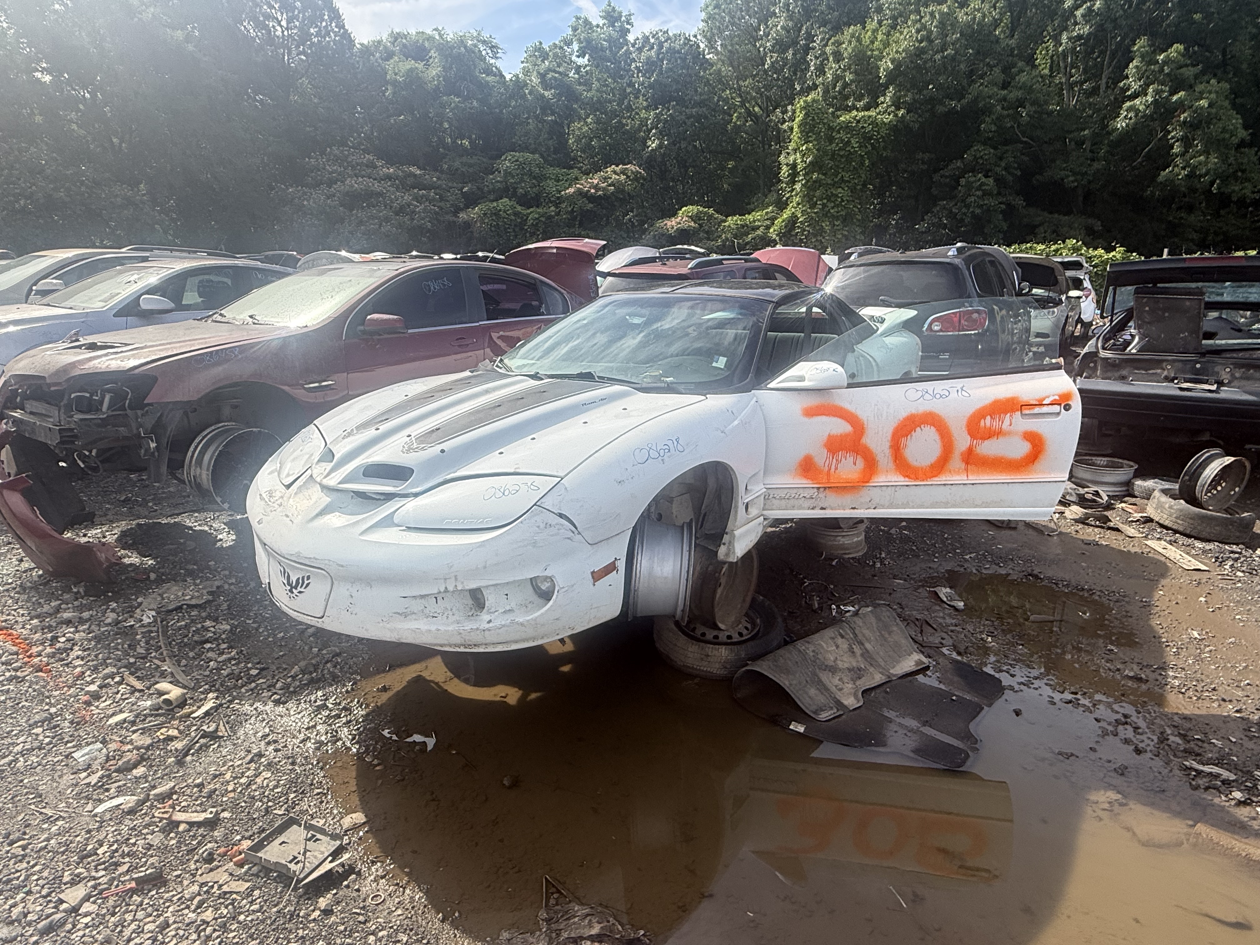 2000 PONTIAC Firebird