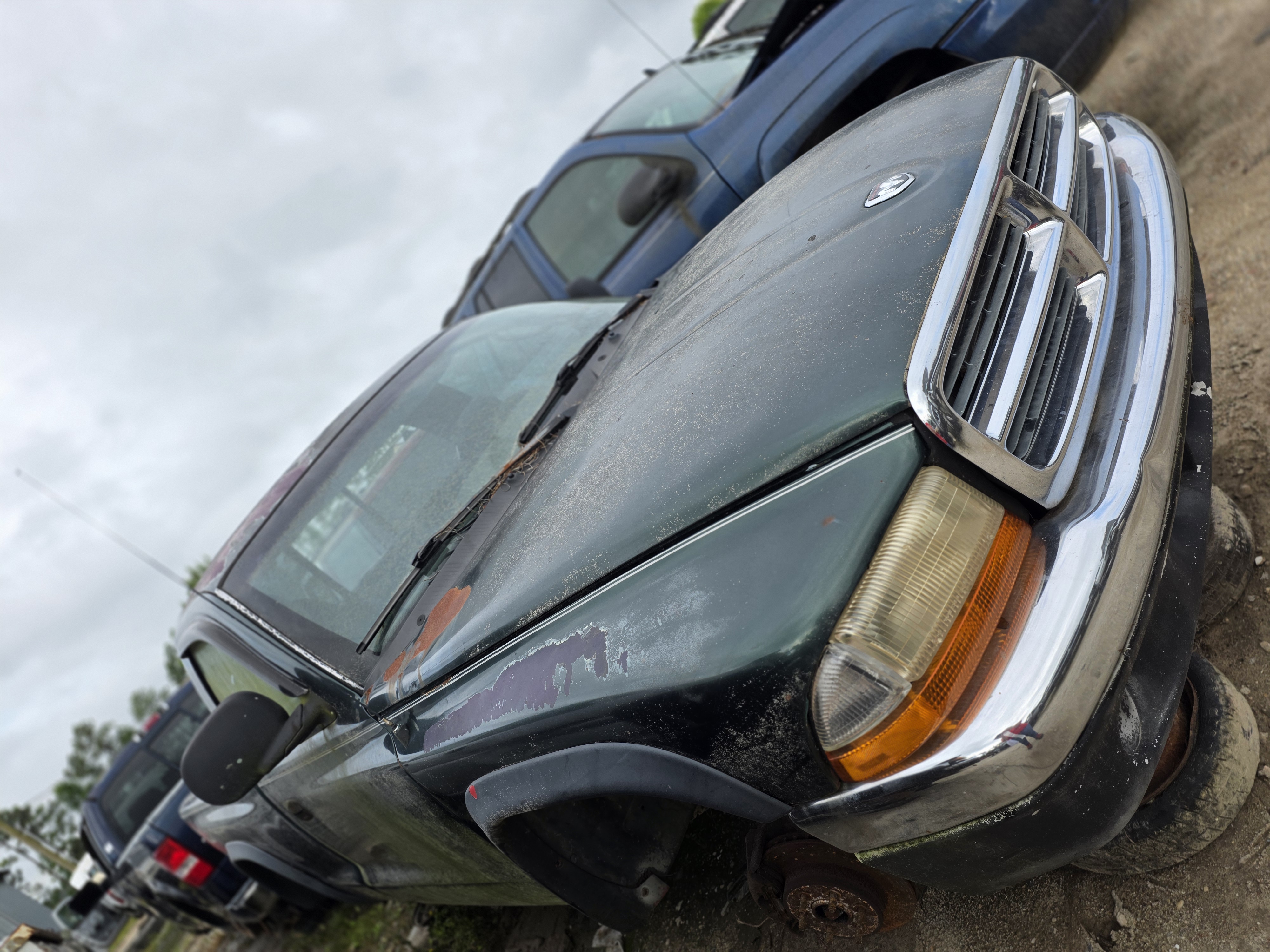 2000 DODGE Dakota