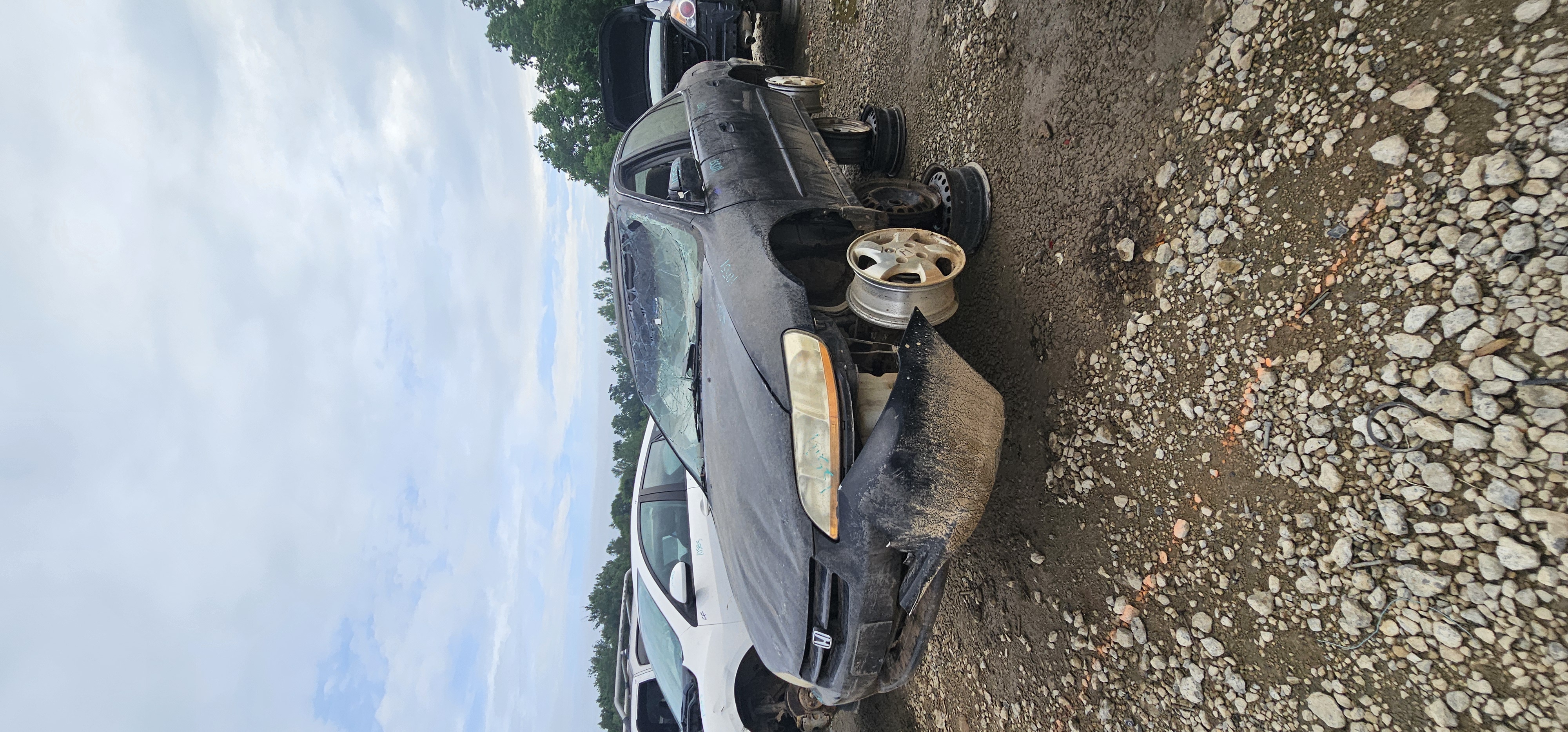 1998 HONDA Accord